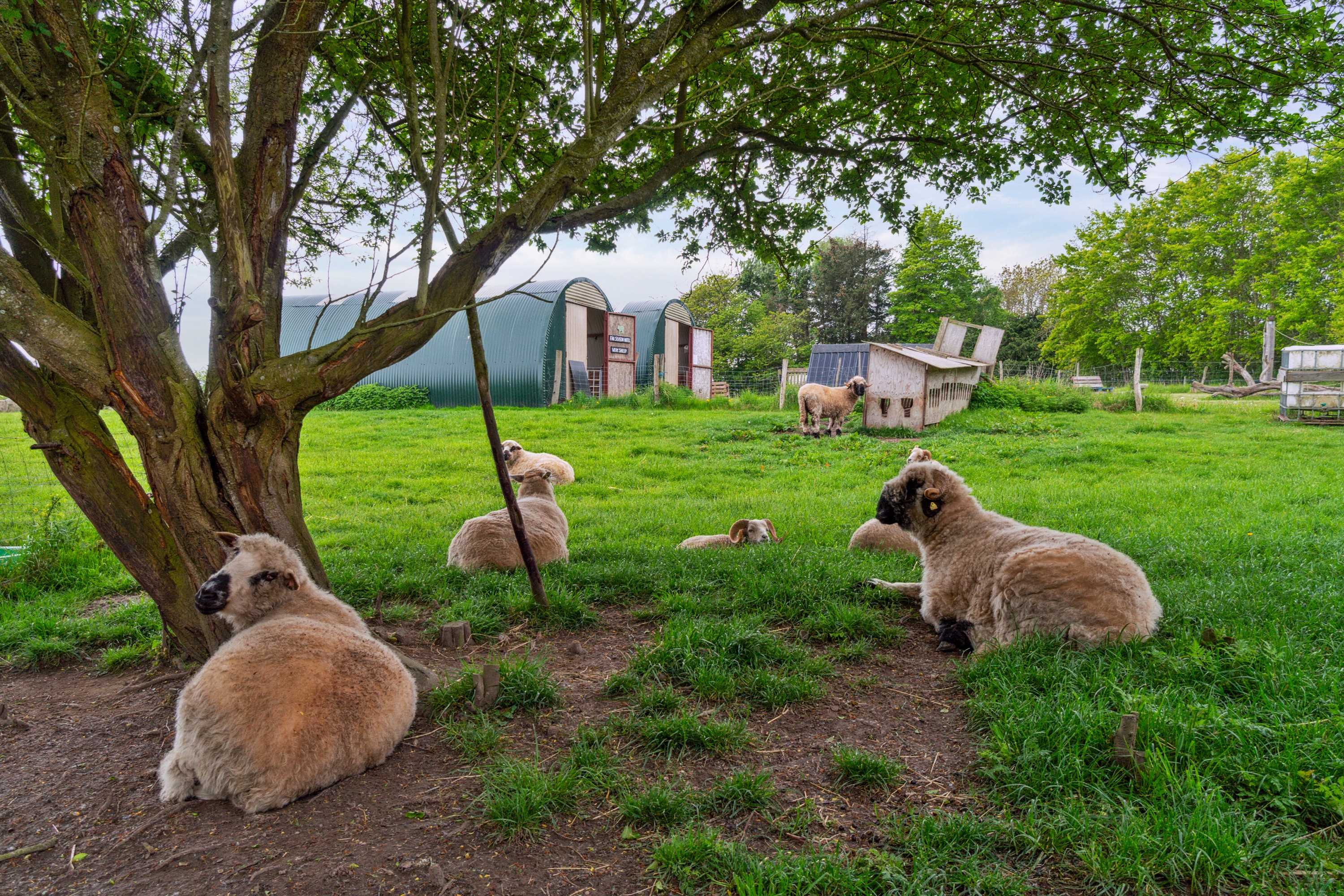 Miniaturebillede 2: udendørs. Billede af Krækketsvej 3, Østerlars, 3760 Gudhjem