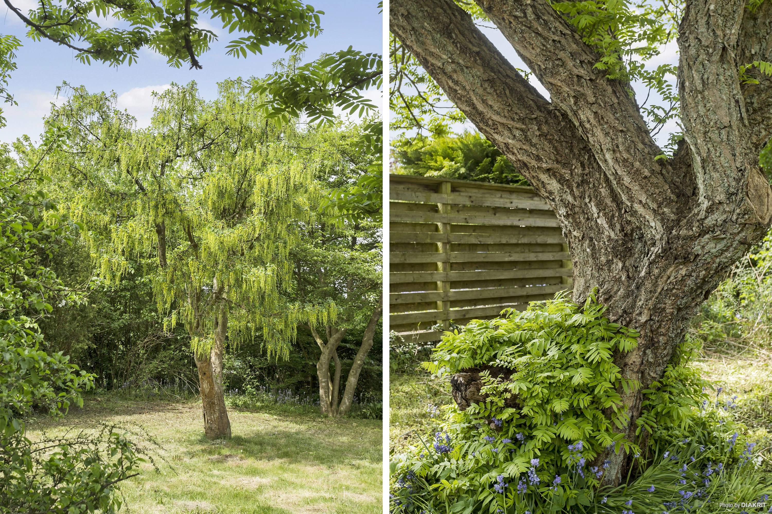 Miniaturebillede 1: område. Billede af Skolegade 24, 6650 Brørup