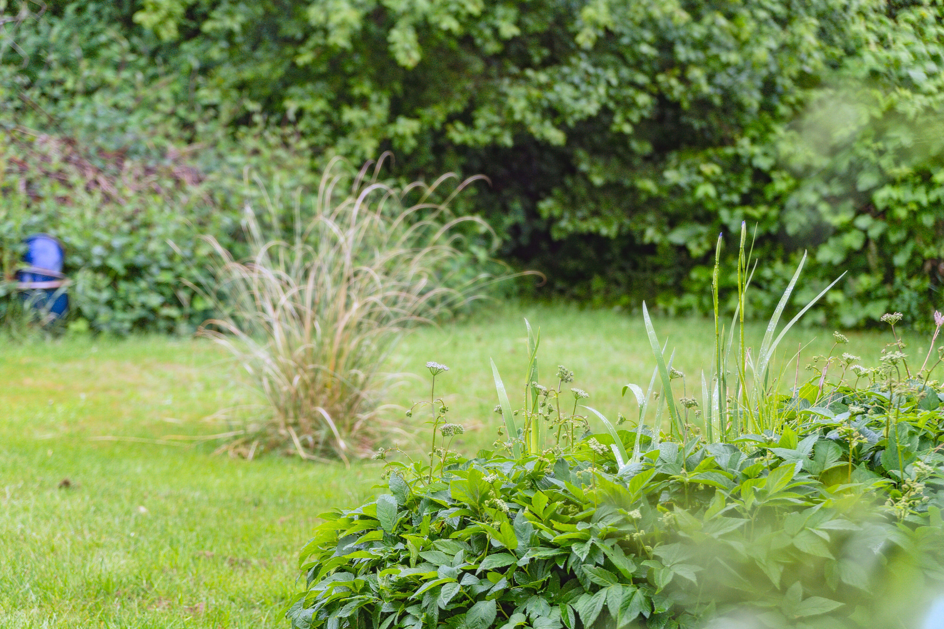 Fremhævet have billede i fuldskærmstilstand. Billede af Kristiansgade 33, 1., 7430 Ikast