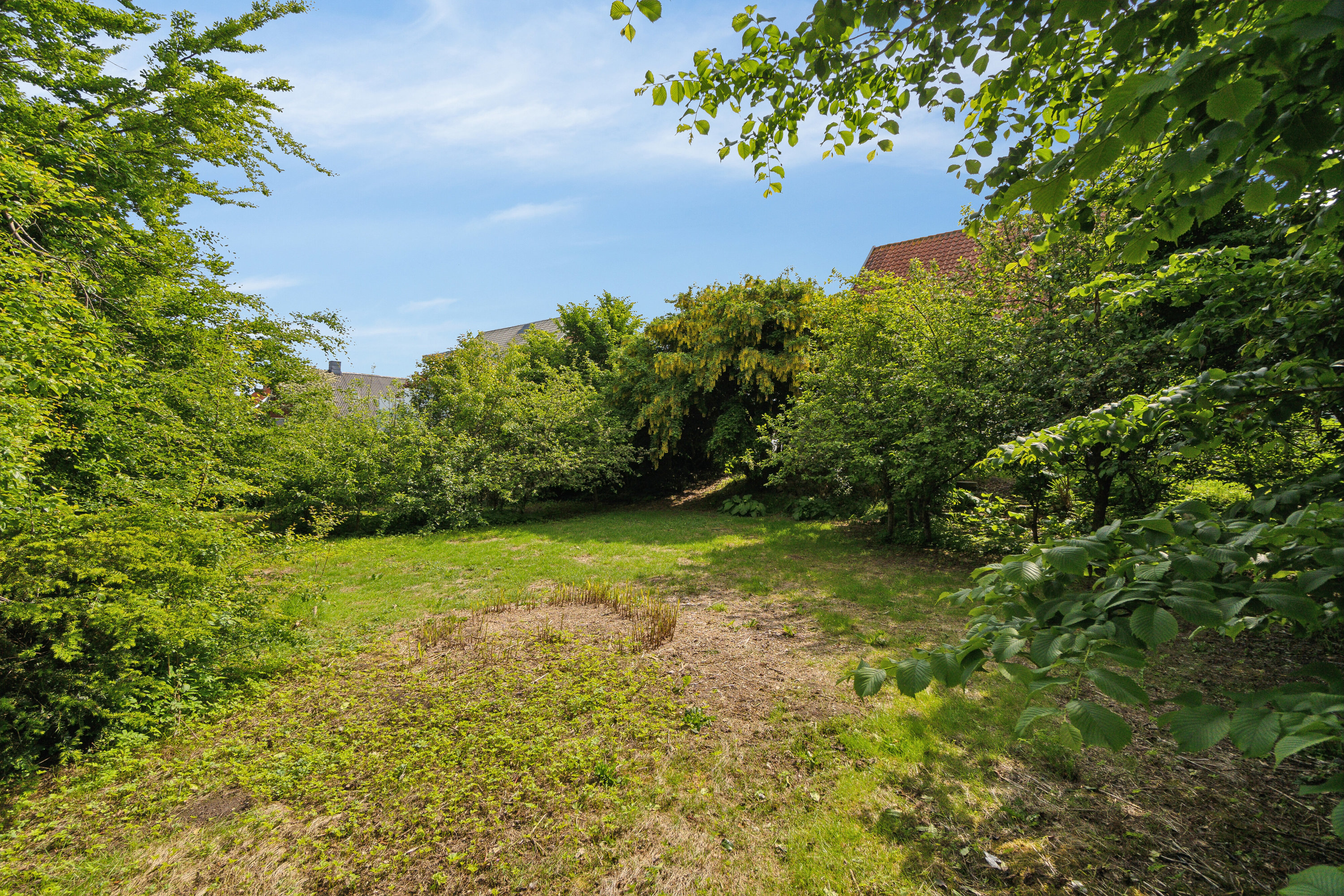 Fremhævet have billede i fuldskærmstilstand. Billede af Simons Bakke 118, Tilsted, 7700 Thisted