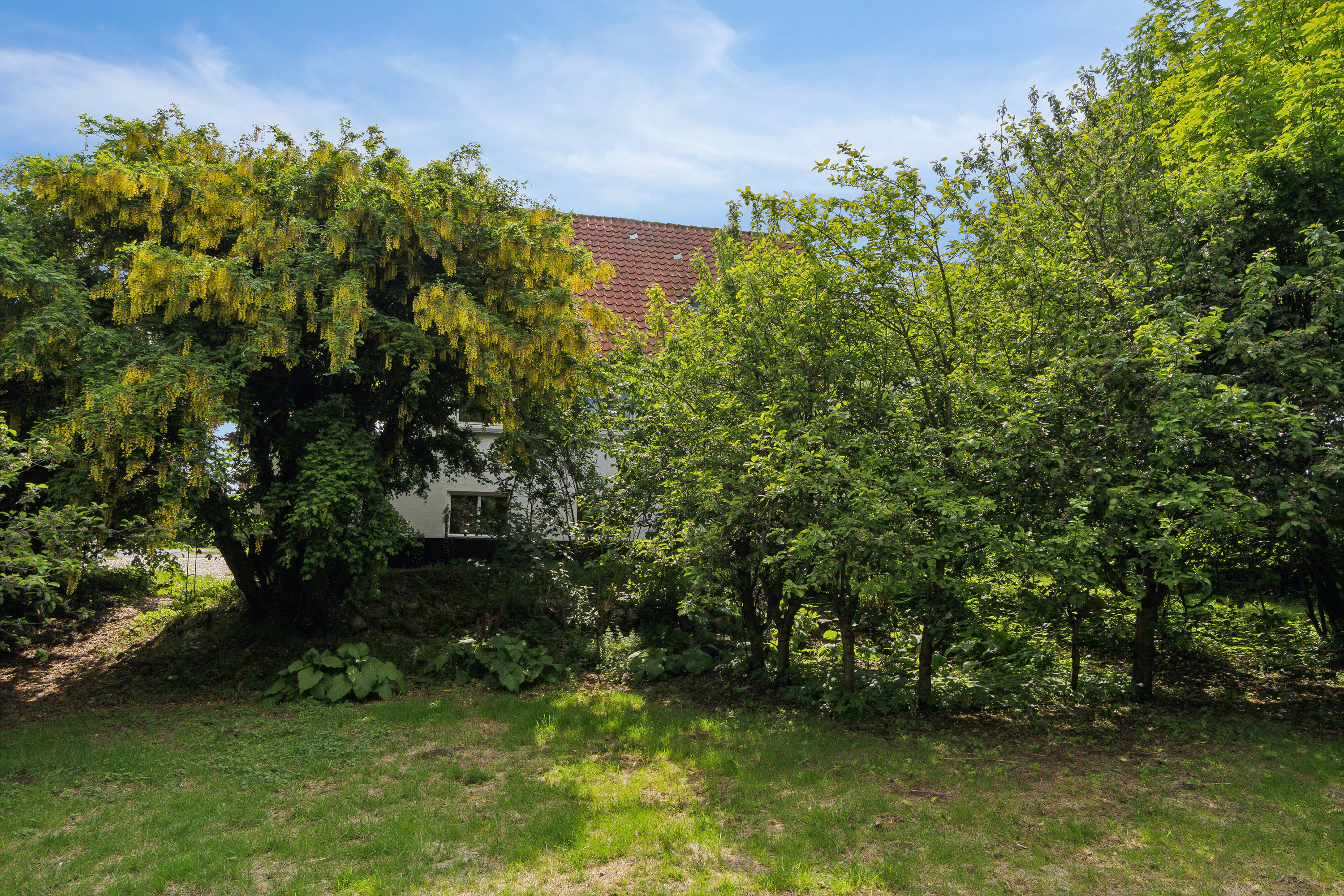 Fremhævet set fra haven billede i fuldskærmstilstand. Billede af Simons Bakke 118, Tilsted, 7700 Thisted