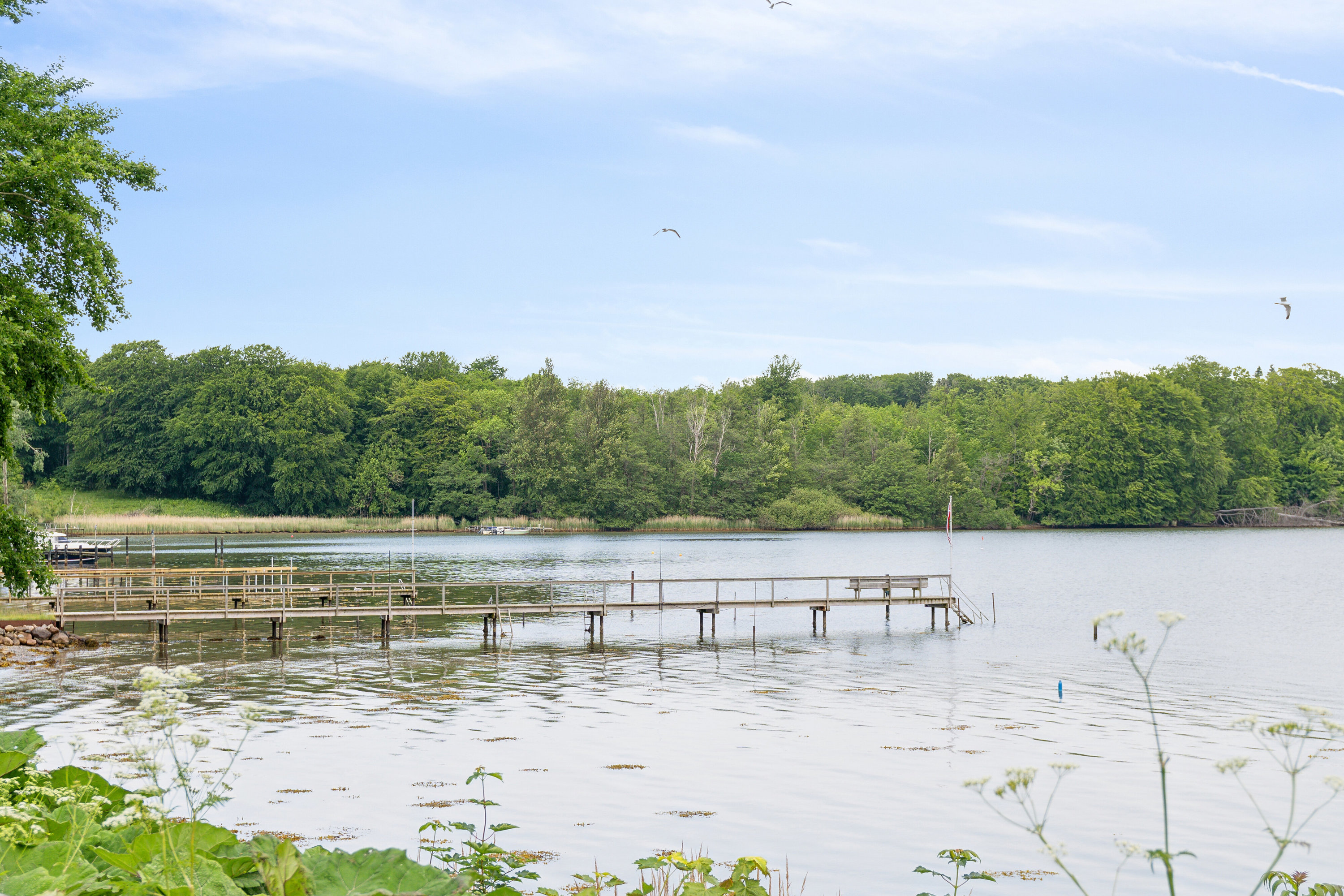 Fremhævet udsigt billede i fuldskærmstilstand. Billede af Ydunshave 8, Tåsinge, 5700 Svendborg