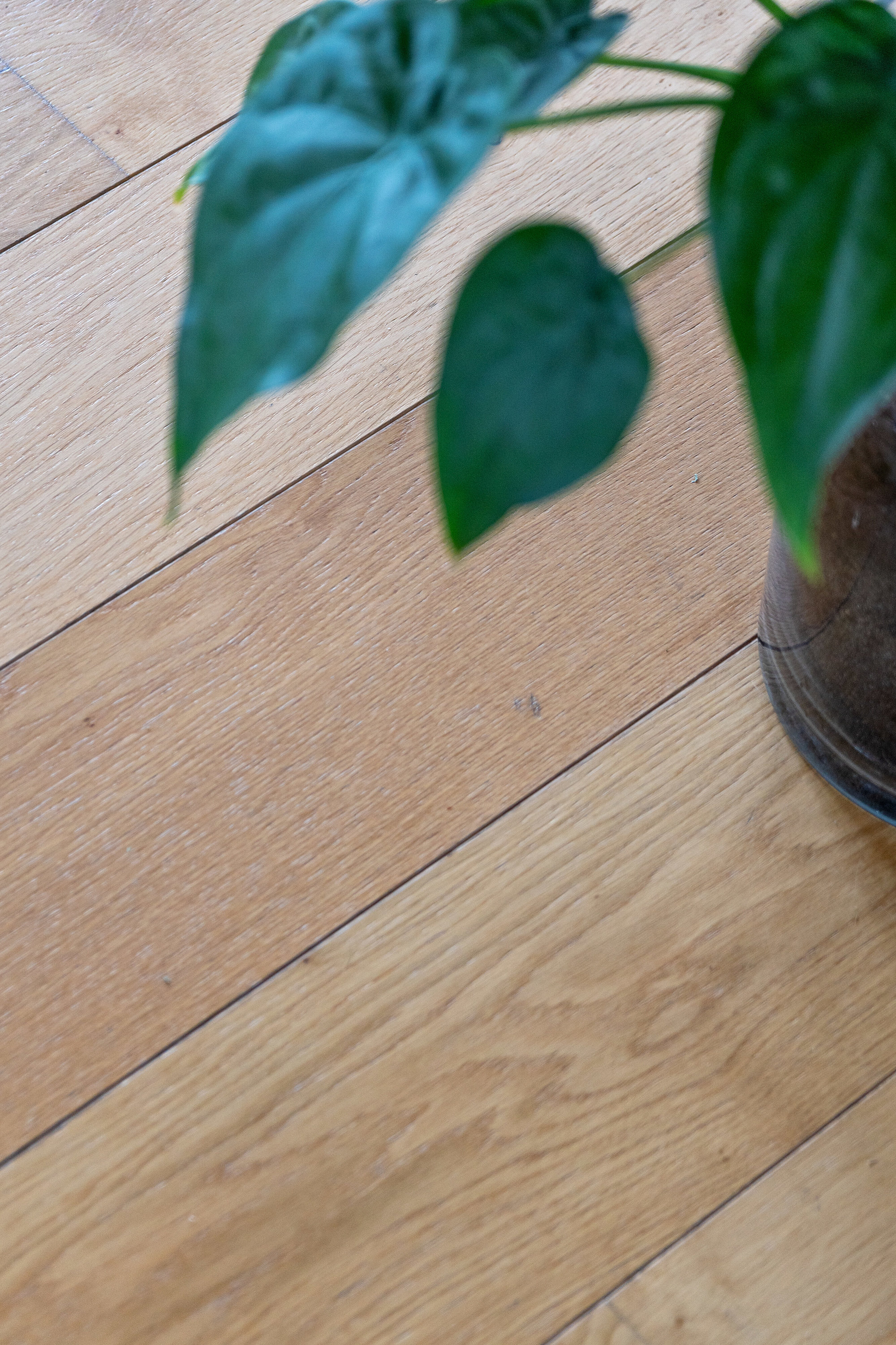 Fremhævet indendørs billede i fuldskærmstilstand. Billede af Ydunshave 8, Tåsinge, 5700 Svendborg