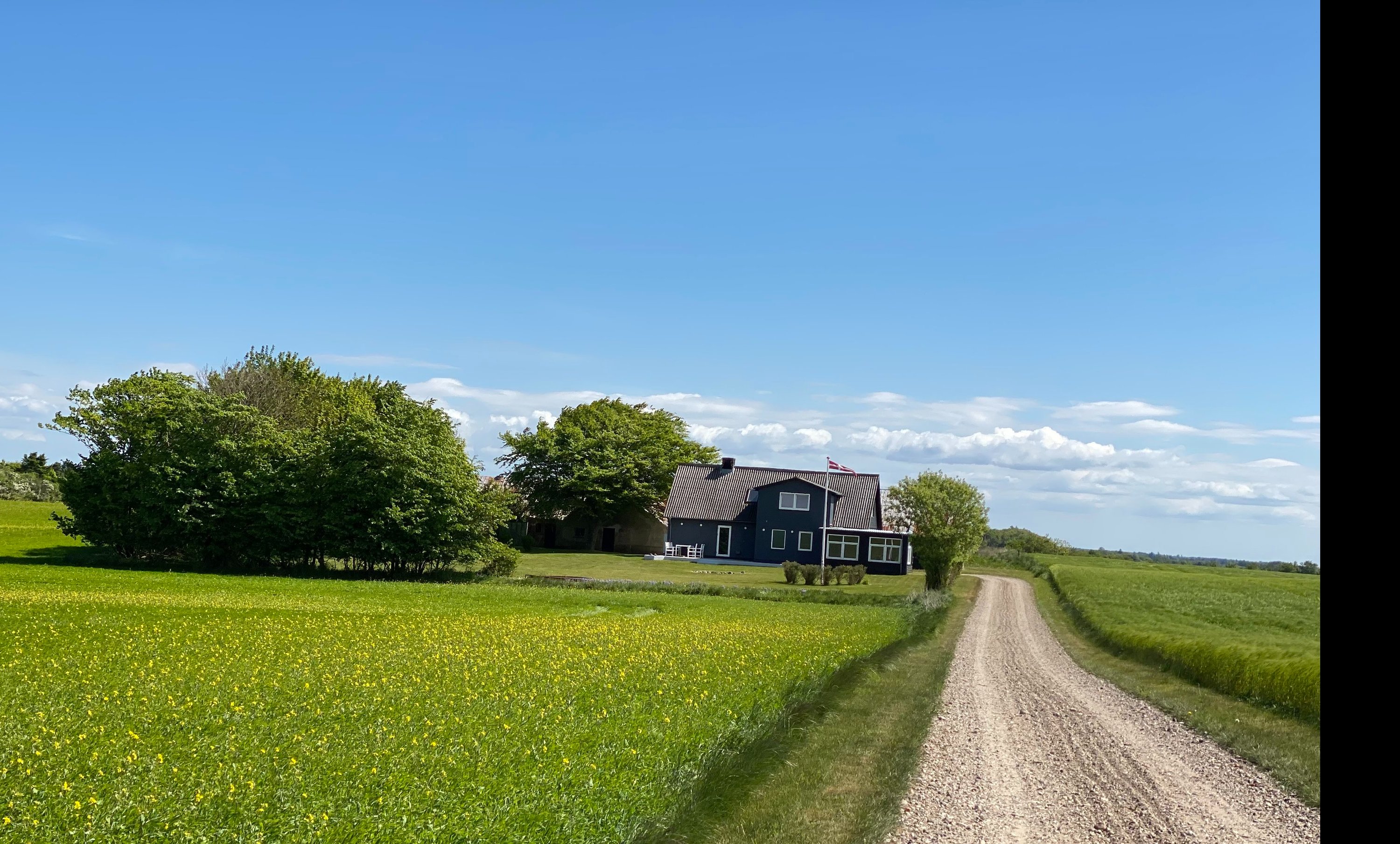 Fremhævet  billede i fuldskærmstilstand. Billede af Plantagen 20, Mollerup, 7900 Nykøbing M