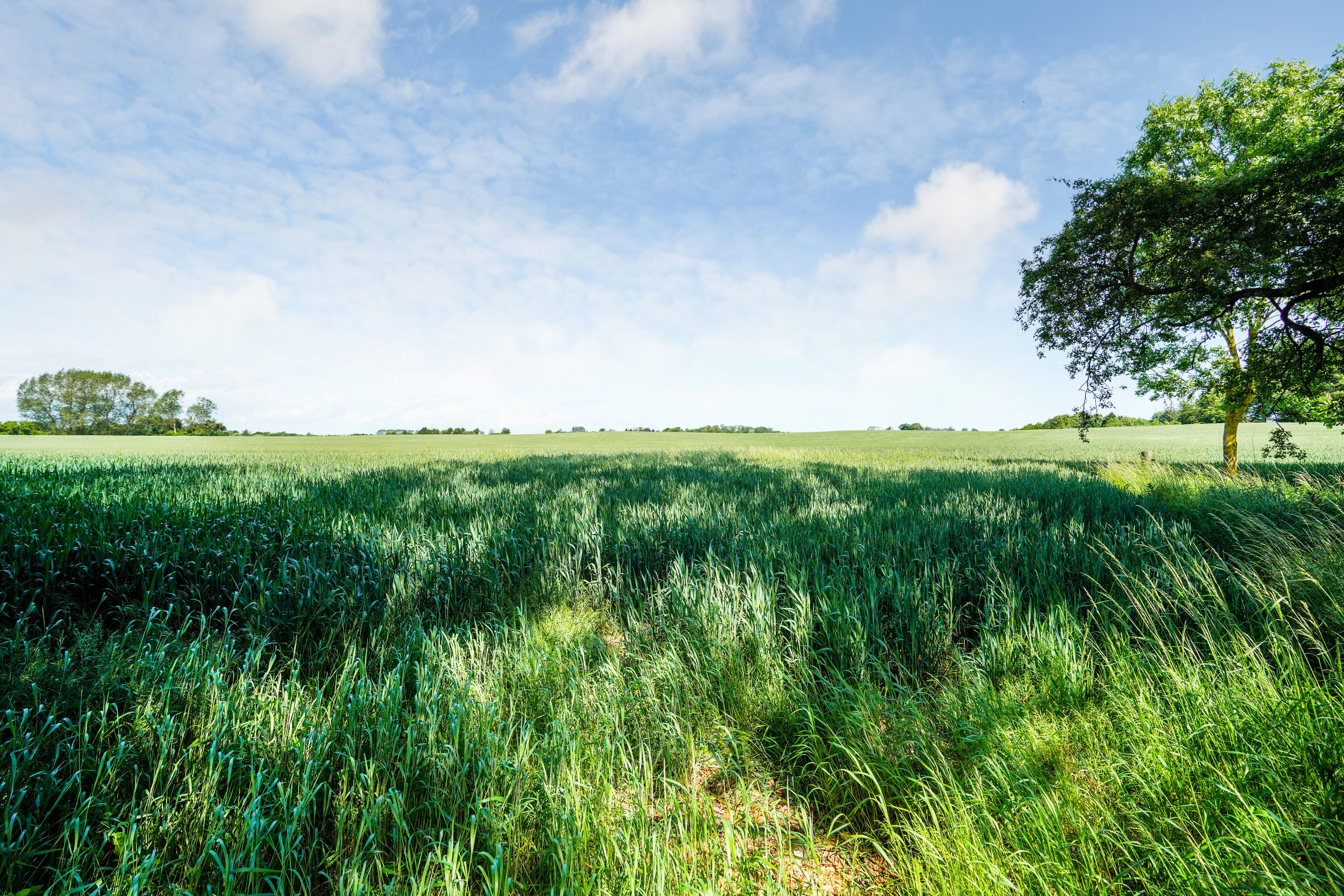 Fremhævet område billede i fuldskærmstilstand. Billede af Nybølvej 16, Vejlby, 5500 Middelfart