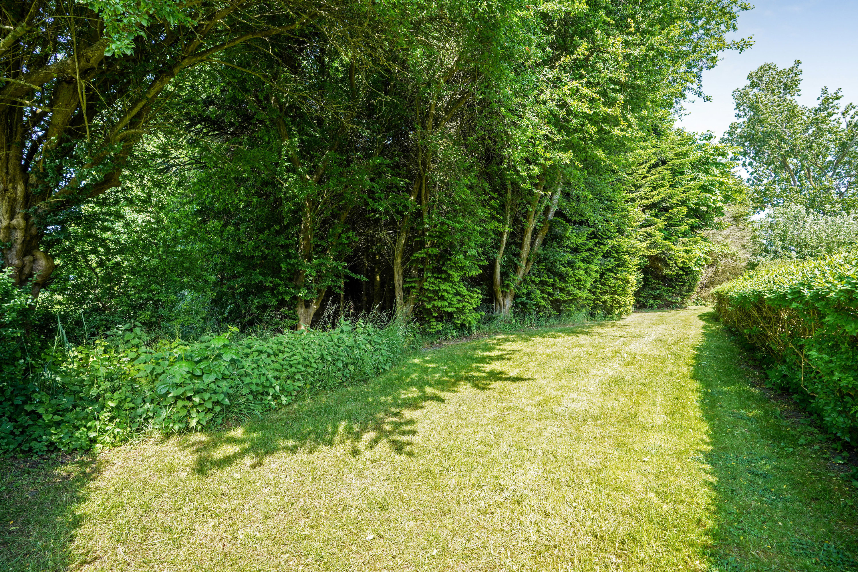 Fremhævet have billede i fuldskærmstilstand. Billede af Nybølvej 16, Vejlby, 5500 Middelfart