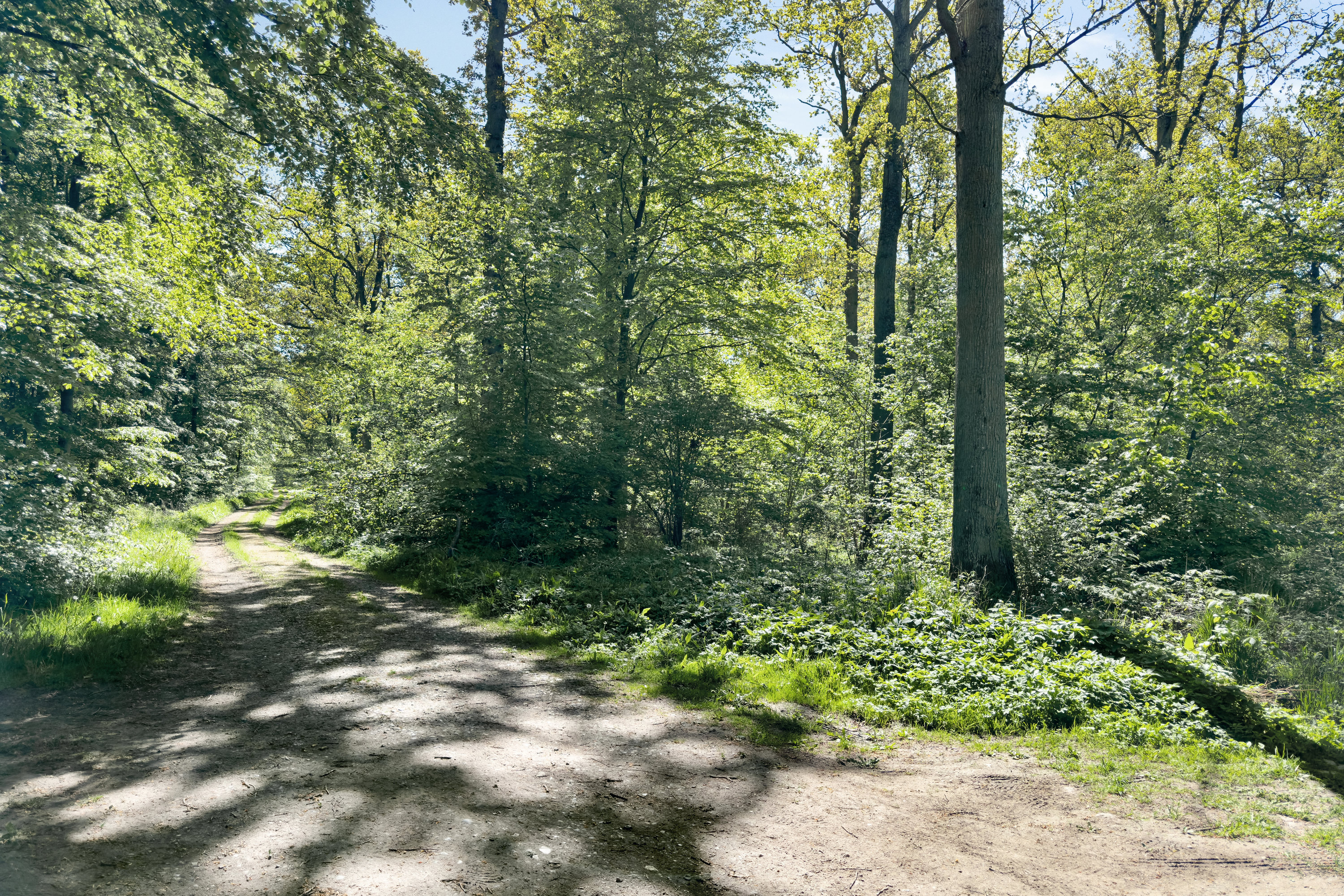 Fremhævet andet billede i fuldskærmstilstand. Billede af Boelskovvej 3, Arnøje, 4660 Store Heddinge