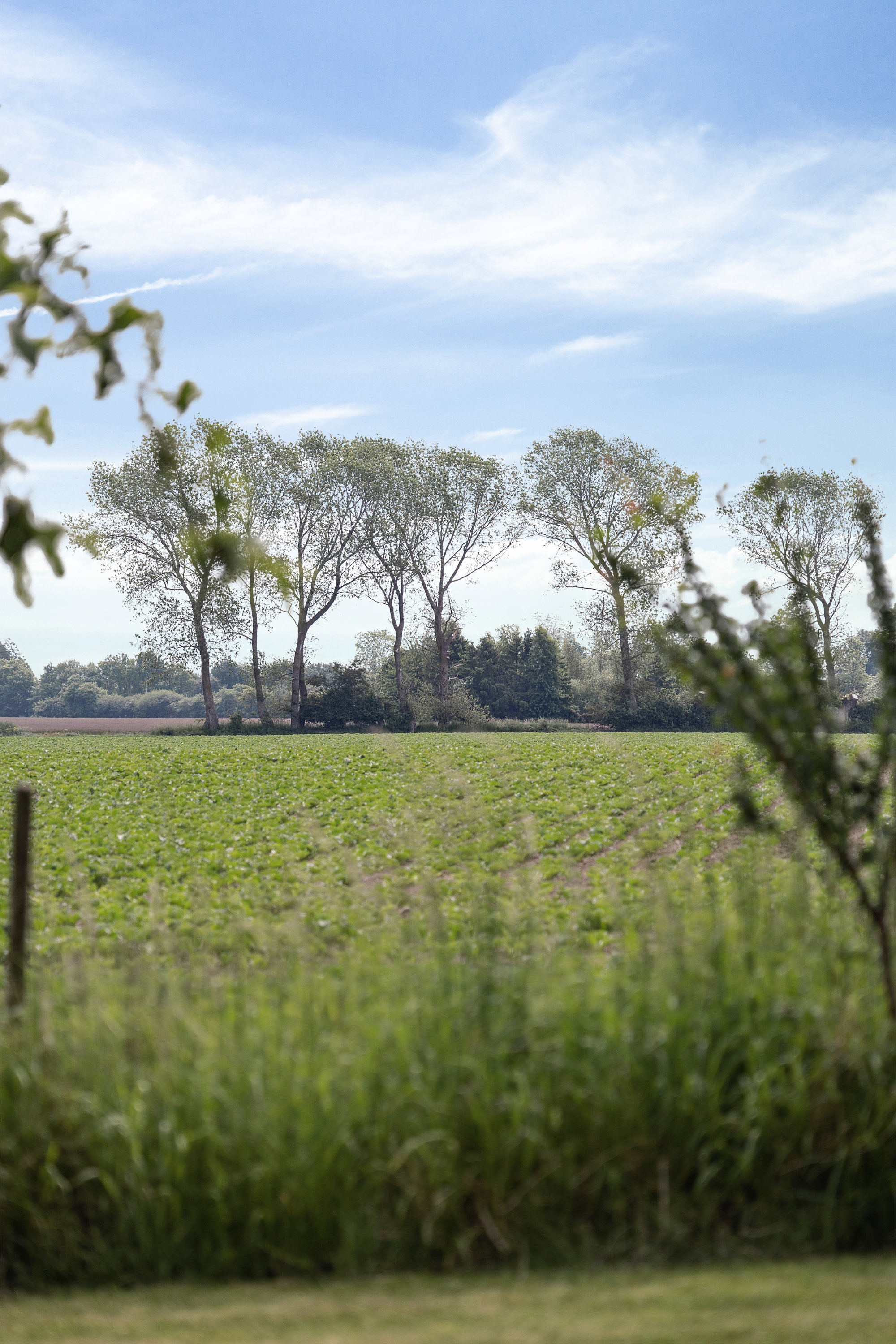 Fremhævet udsigt billede i fuldskærmstilstand. Billede af Boelskovvej 3, Arnøje, 4660 Store Heddinge