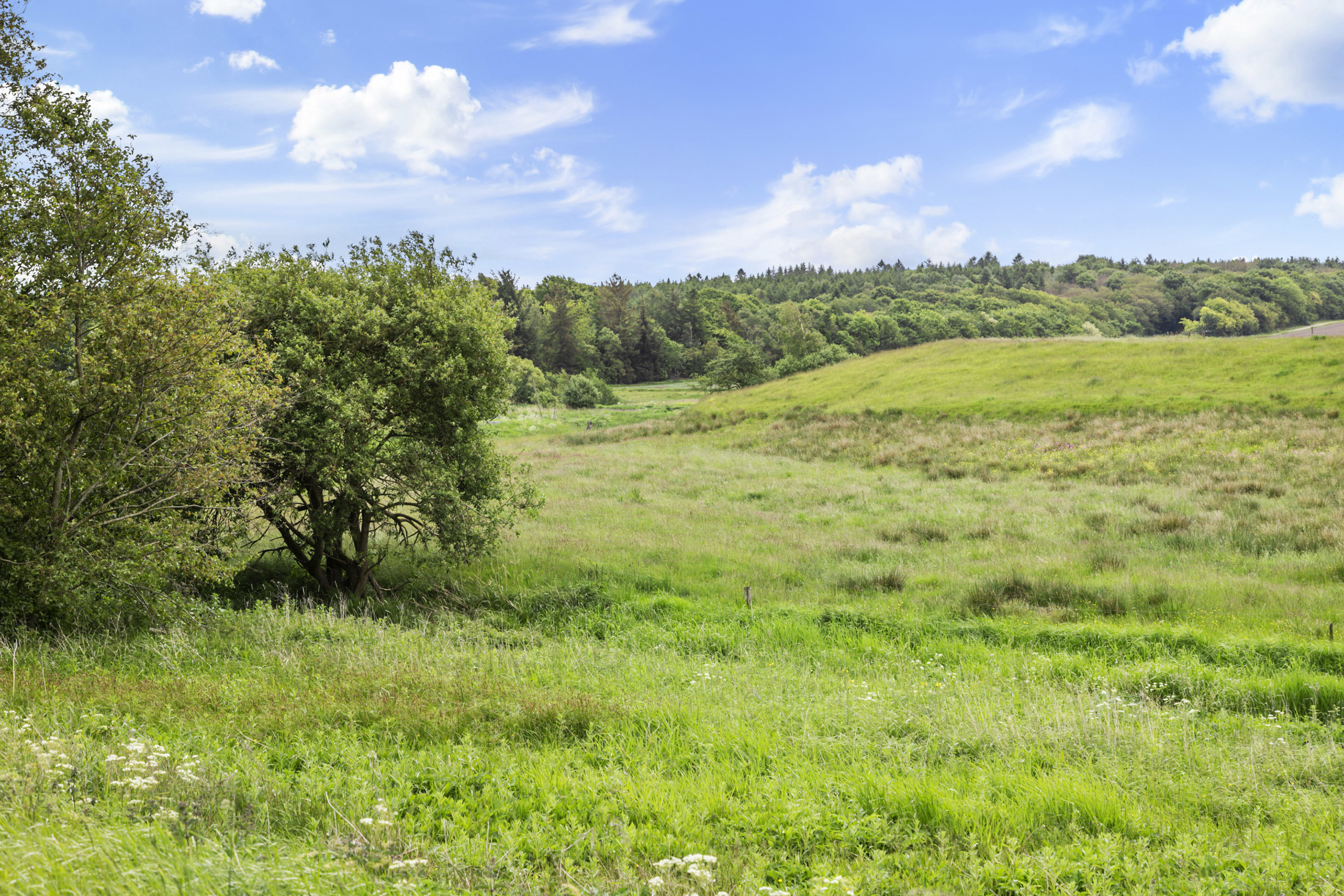 Fremhævet område billede i fuldskærmstilstand. Billede af Smedievej 10, St Binderup, 9600 Aars