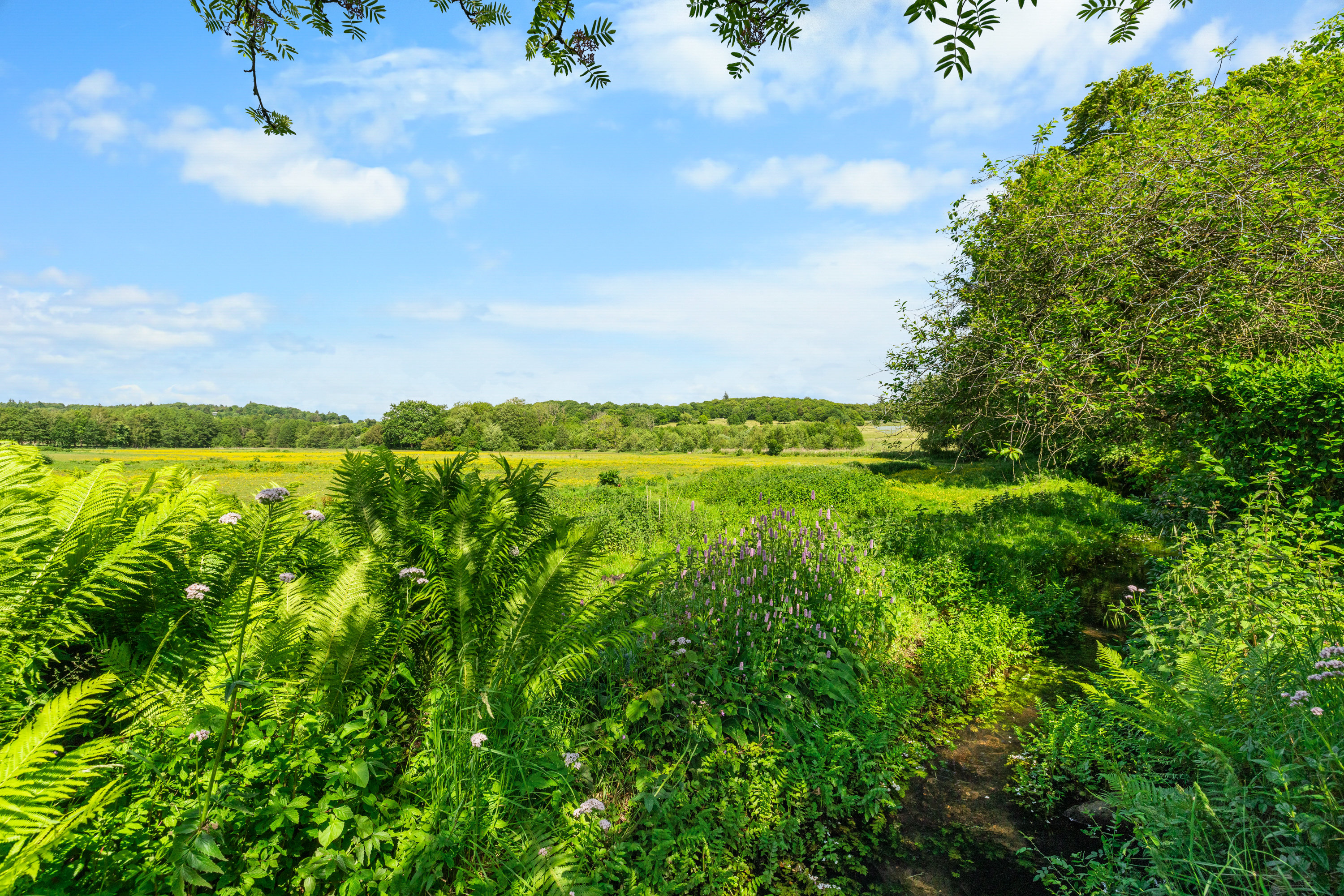 Fremhævet andet billede i fuldskærmstilstand. Billede af Svanningevej 35, 5600 Faaborg