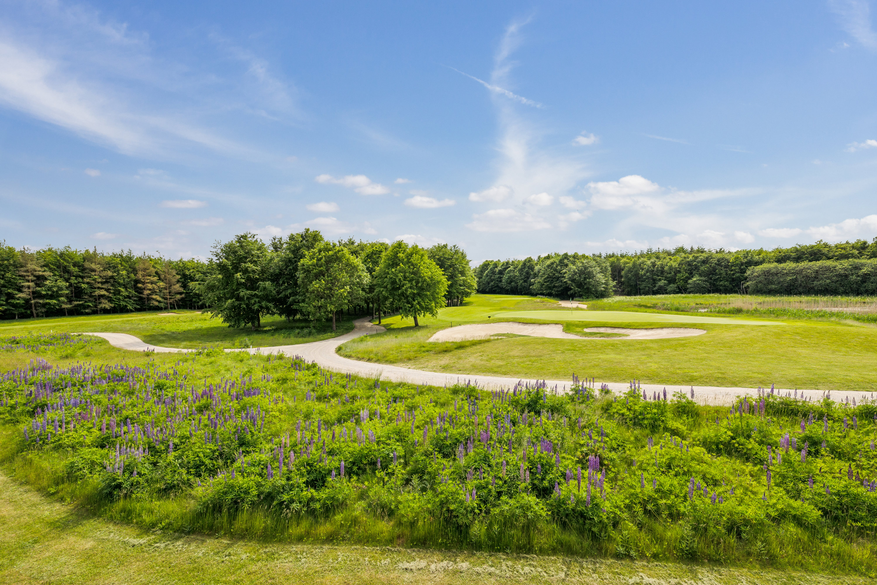 Fremhævet omgivelser billede i fuldskærmstilstand. Billede af Lübker Allé 25, 8581 Nimtofte