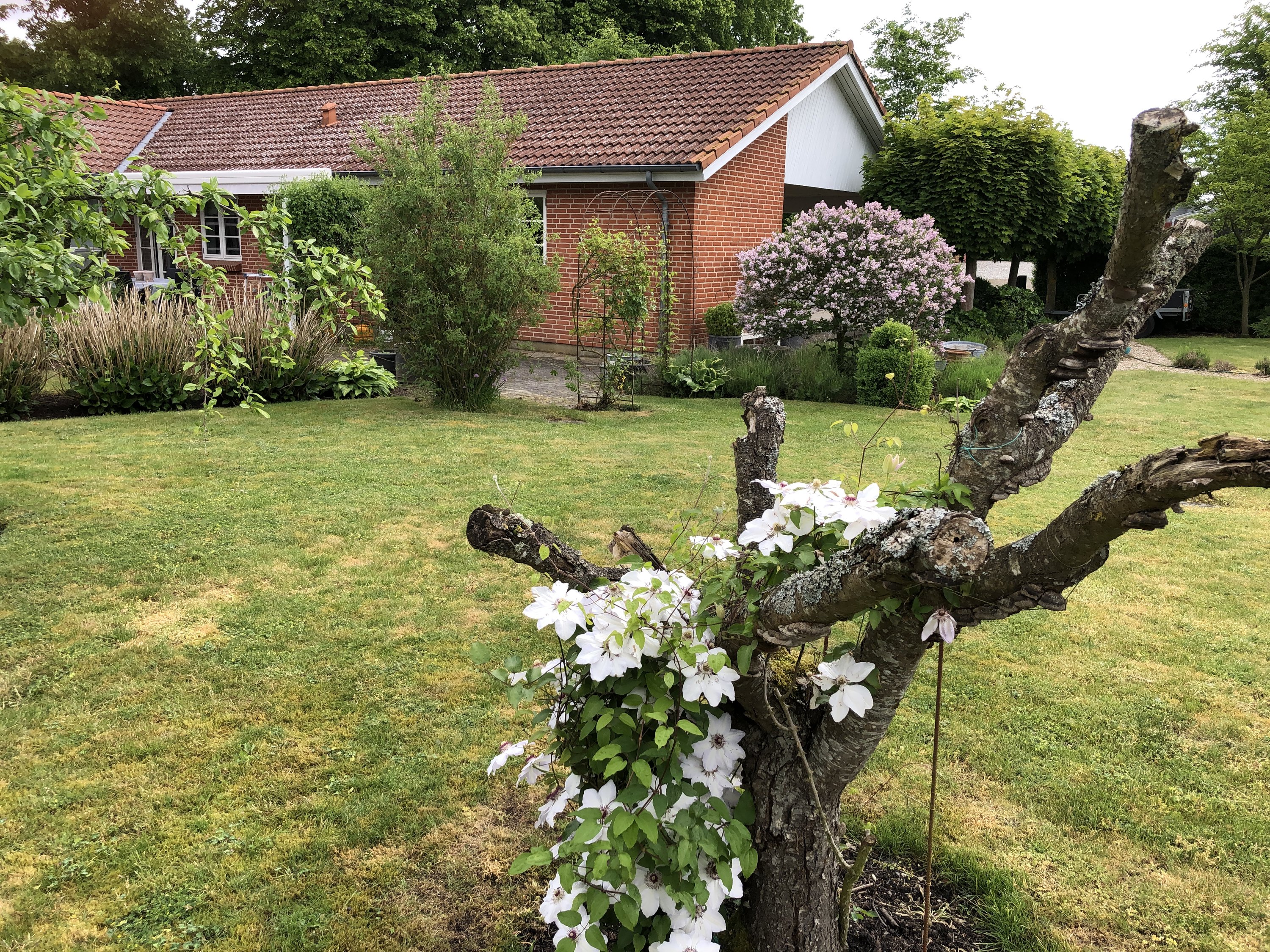 Fremhævet  billede i fuldskærmstilstand. Billede af Søndergade 21L, 8783 Hornsyld