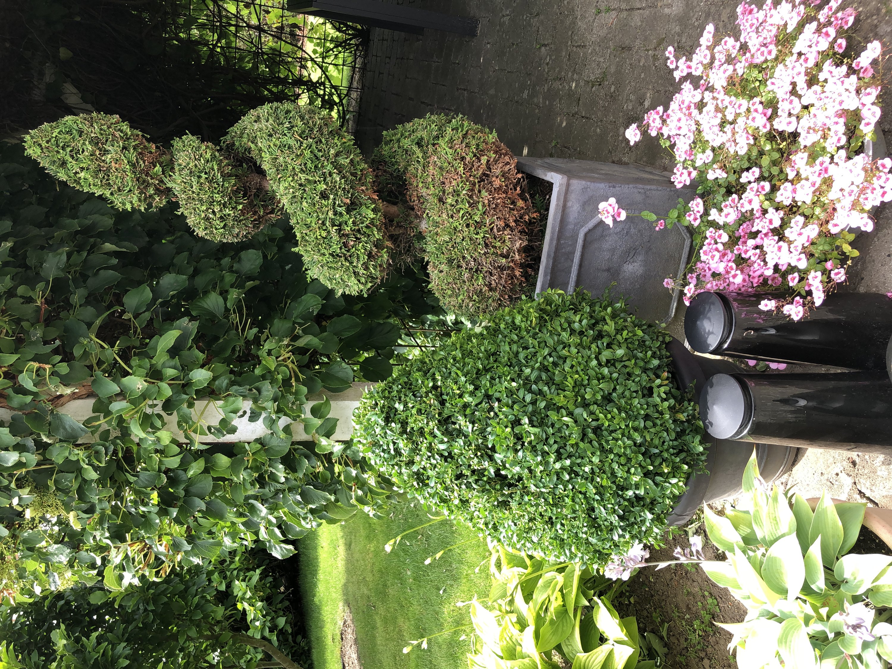 Fremhævet  billede i fuldskærmstilstand. Billede af Søndergade 21L, 8783 Hornsyld