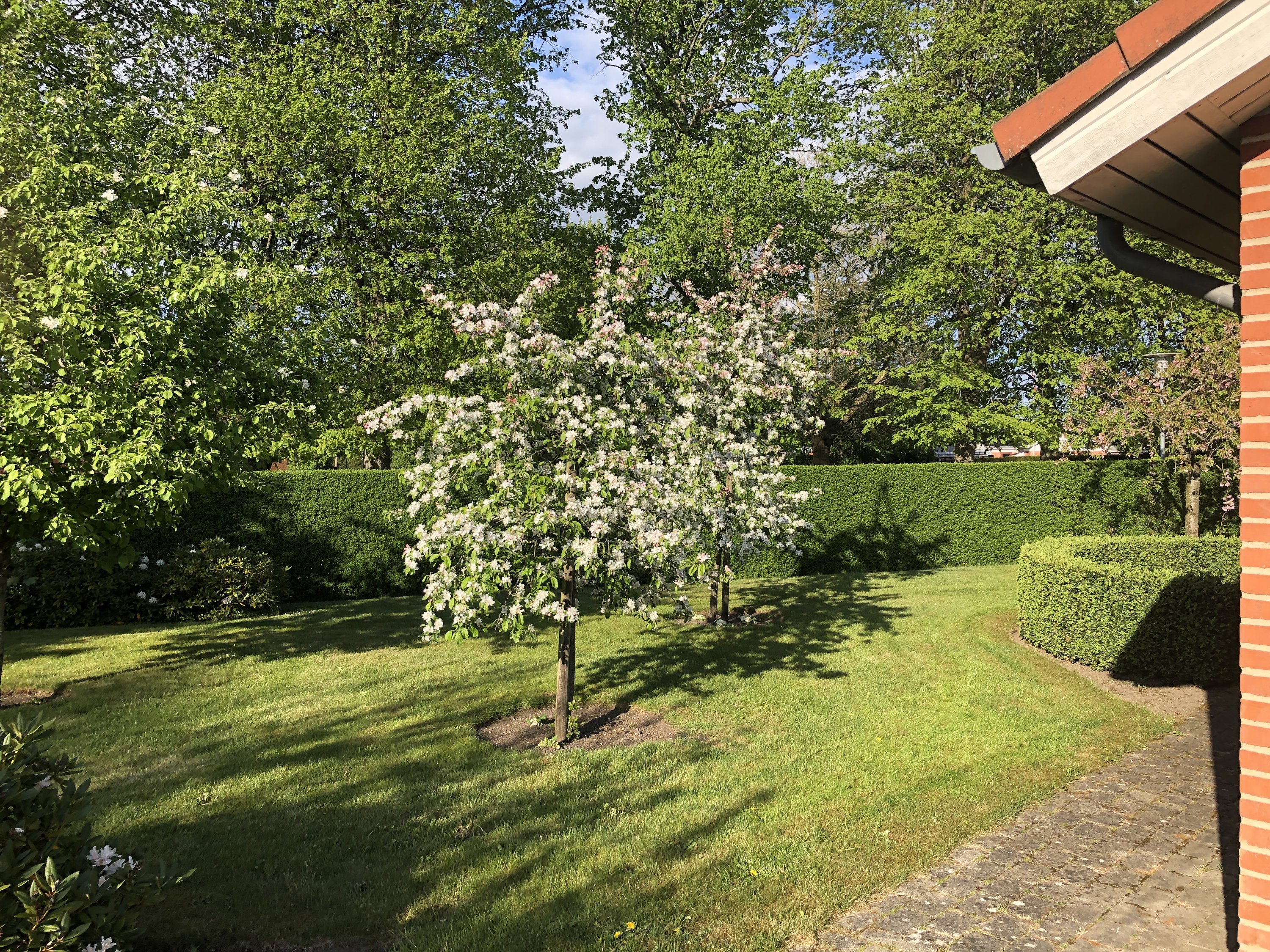 Fremhævet  billede i fuldskærmstilstand. Billede af Søndergade 21L, 8783 Hornsyld