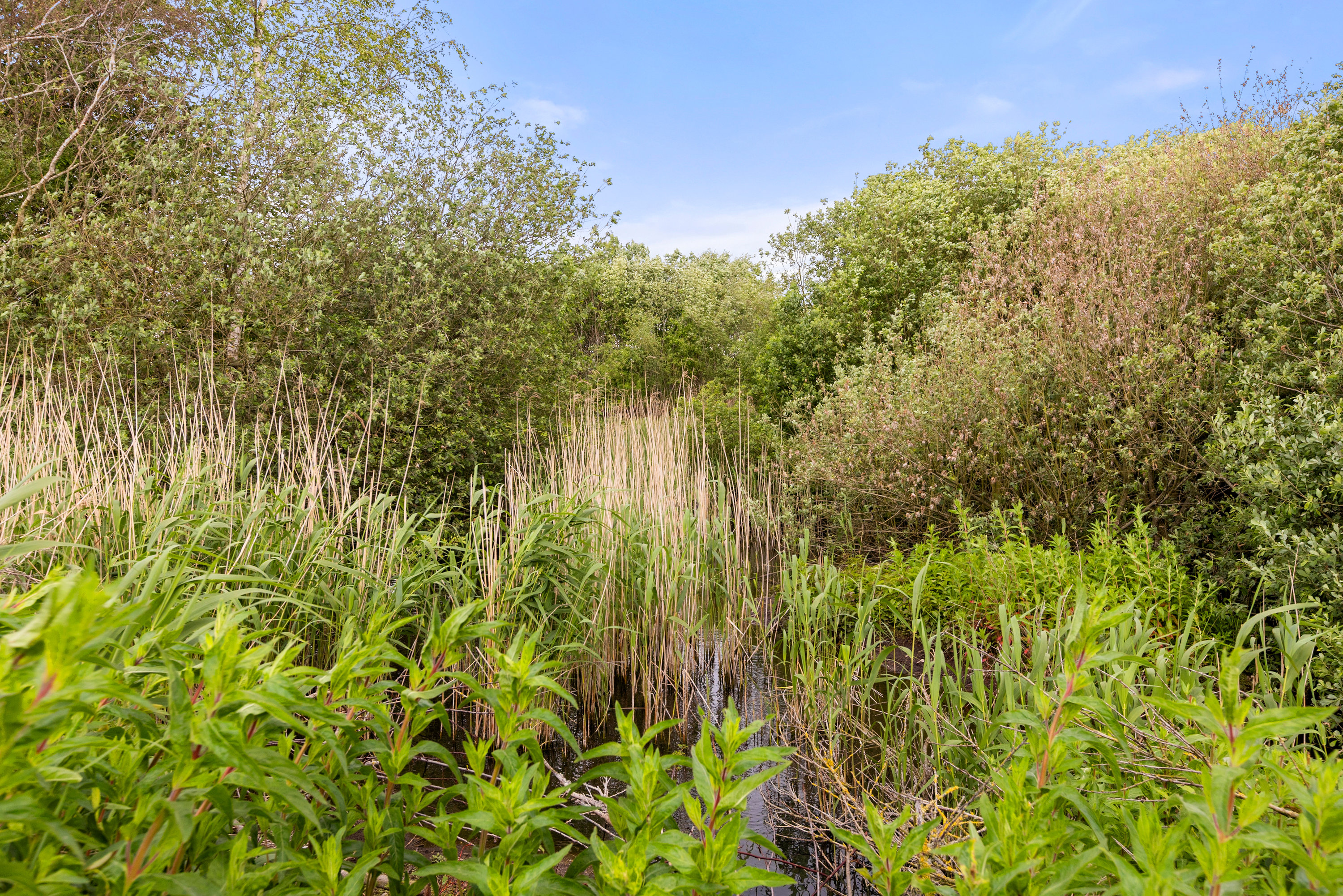 Fremhævet udsigt billede i fuldskærmstilstand. Billede af Ødemarksvej 5, Flinterup, 4180 Sorø