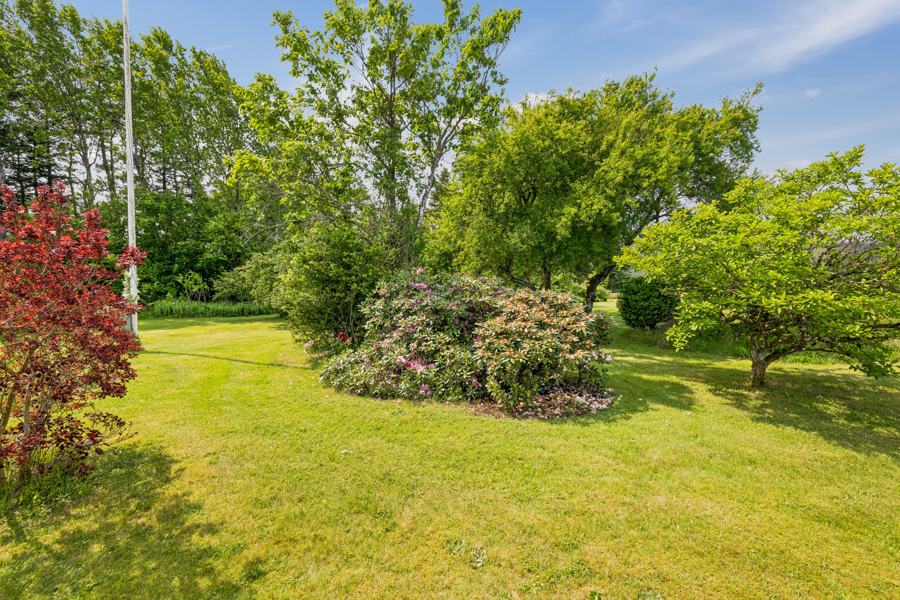 Fremhævet have billede i fuldskærmstilstand. Billede af Holstebrovej 115, 8800 Viborg