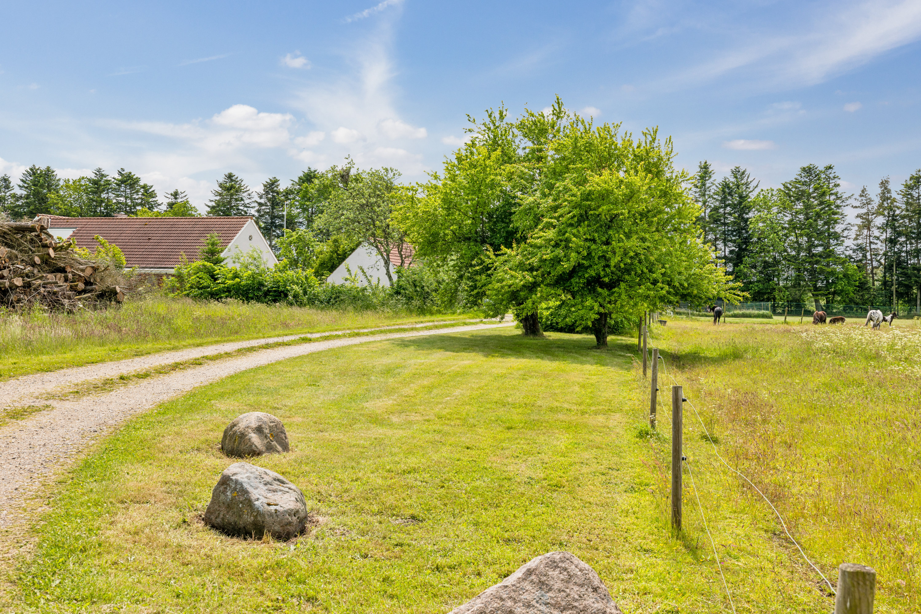 Fremhævet have billede i fuldskærmstilstand. Billede af Holstebrovej 115, 8800 Viborg