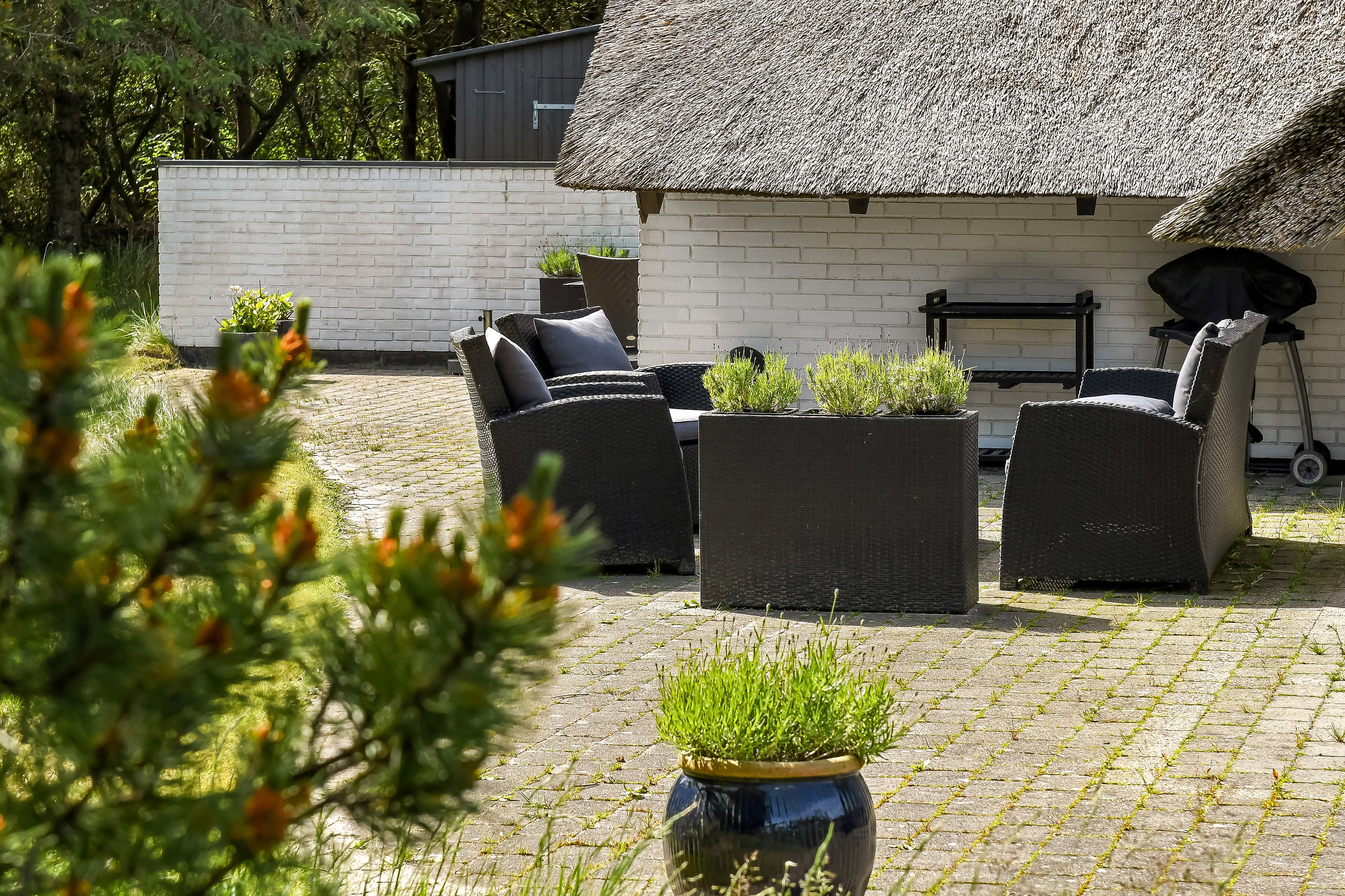 Fremhævet terrasse billede i fuldskærmstilstand. Billede af Præstens Toft 4, Sønderho, 6720 Fanø