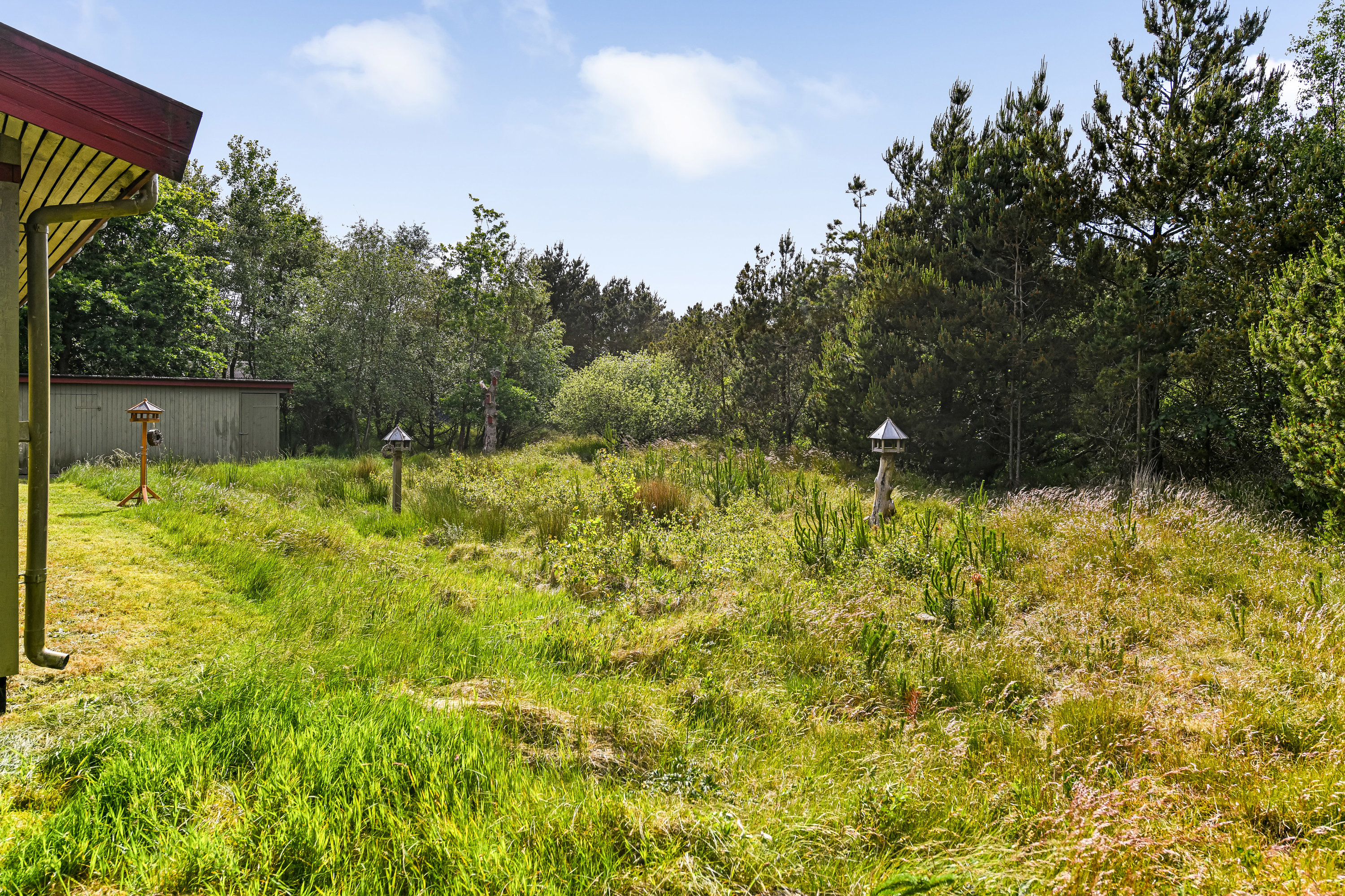 Fremhævet have billede i fuldskærmstilstand. Billede af Vesten Sandene 48, Sønderho, 6720 Fanø