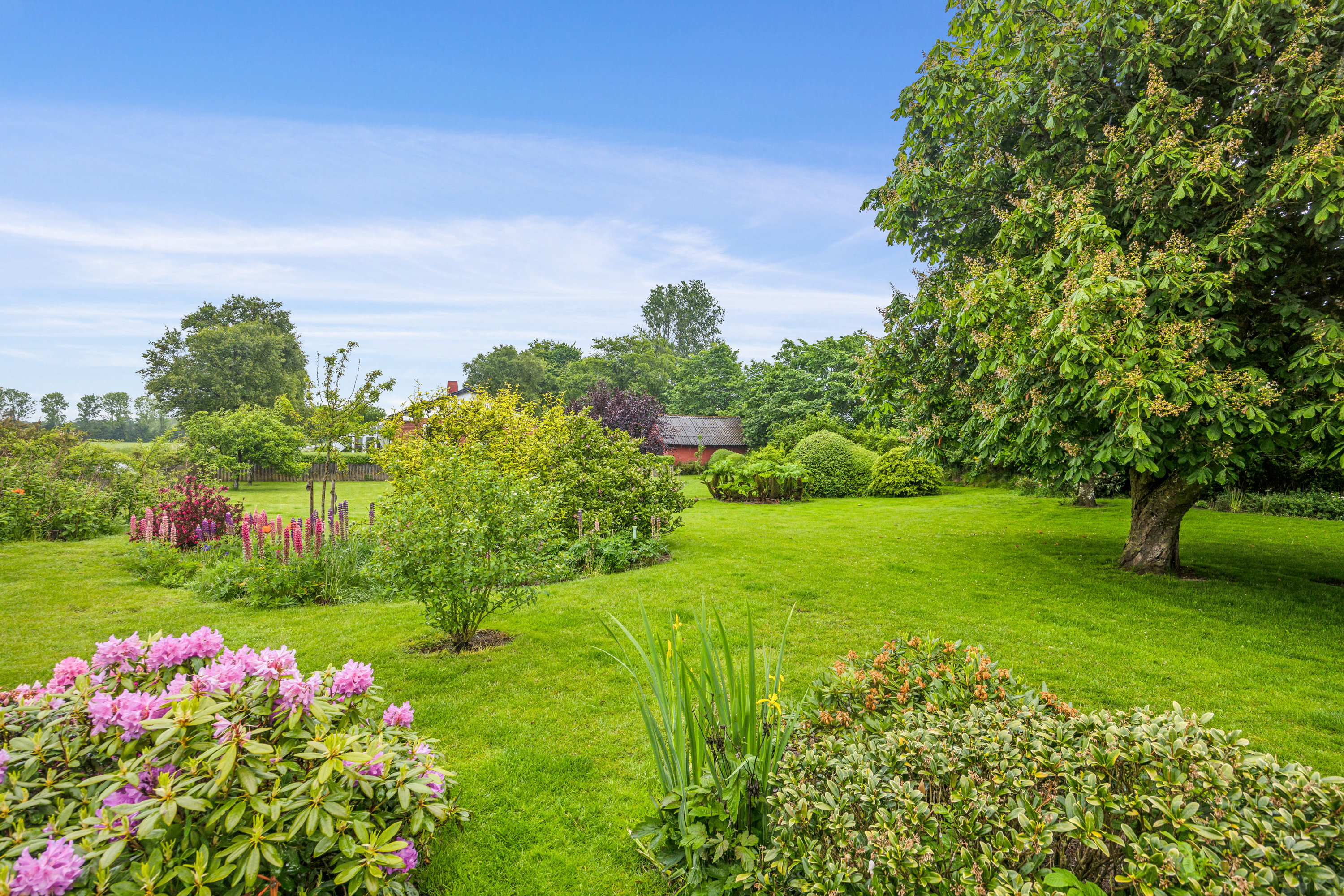 Fremhævet have billede i fuldskærmstilstand. Billede af Bjørnbækvej 4, Ravnstrup, 9320 Hjallerup