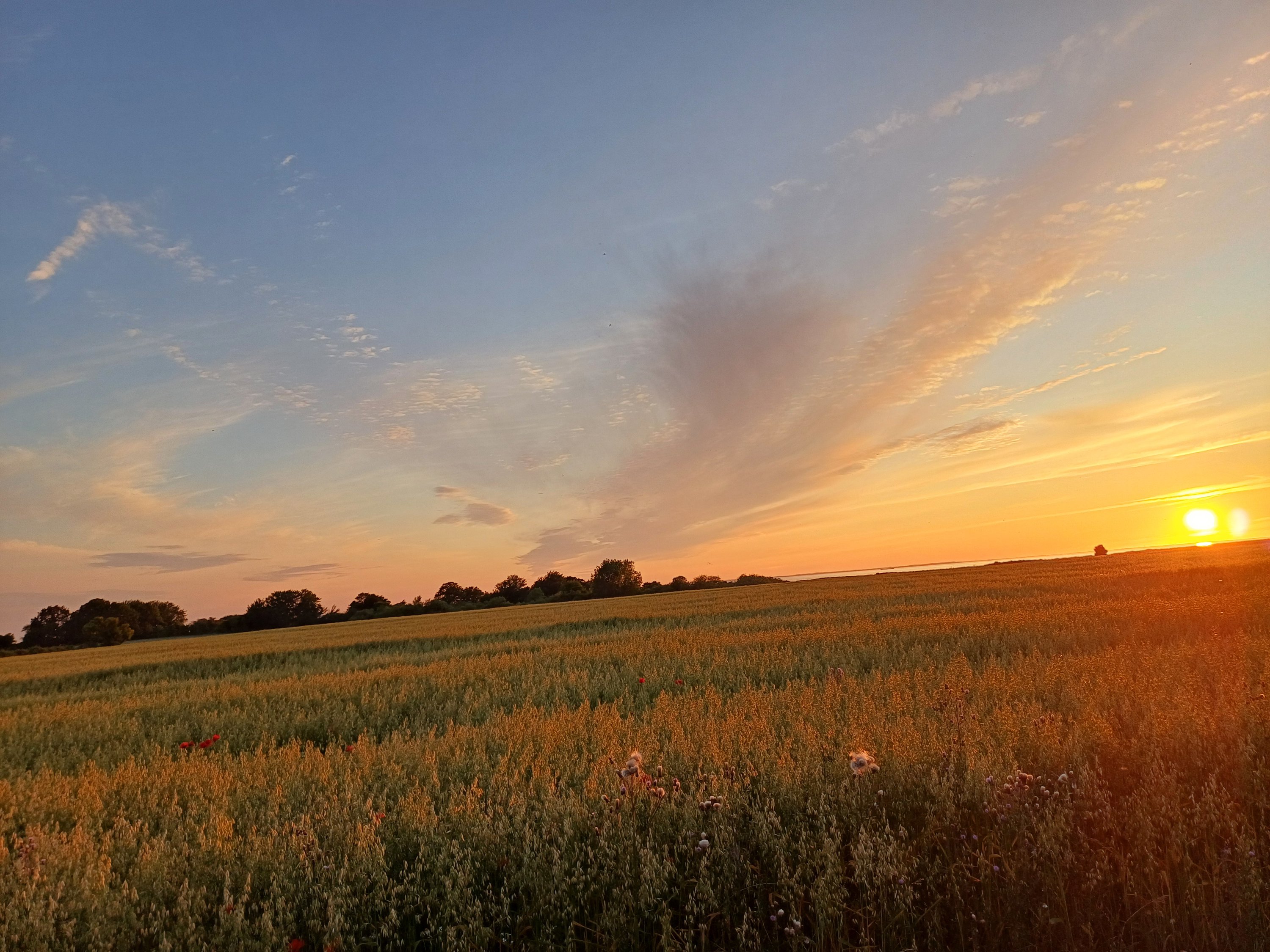 Fremhævet  billede i fuldskærmstilstand. Billede af Fyrvej 14, 4245 Omø
