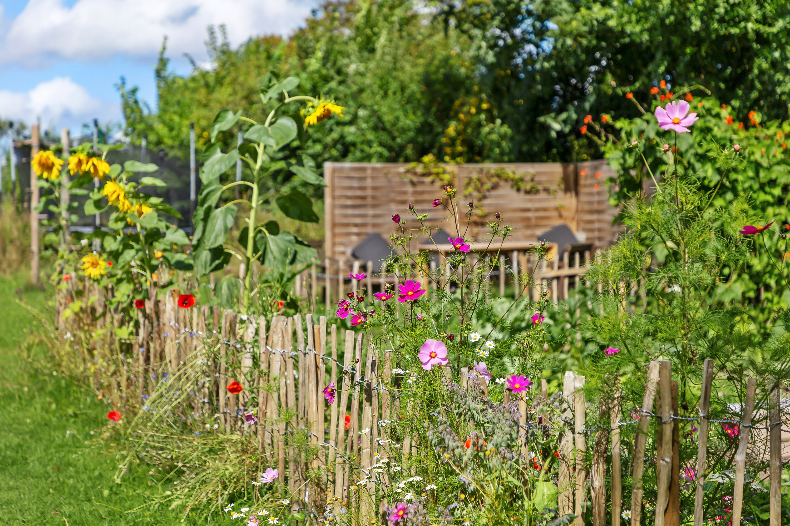 Fremhævet  billede i fuldskærmstilstand. Billede af Grønnegade 9A, 2970 Hørsholm