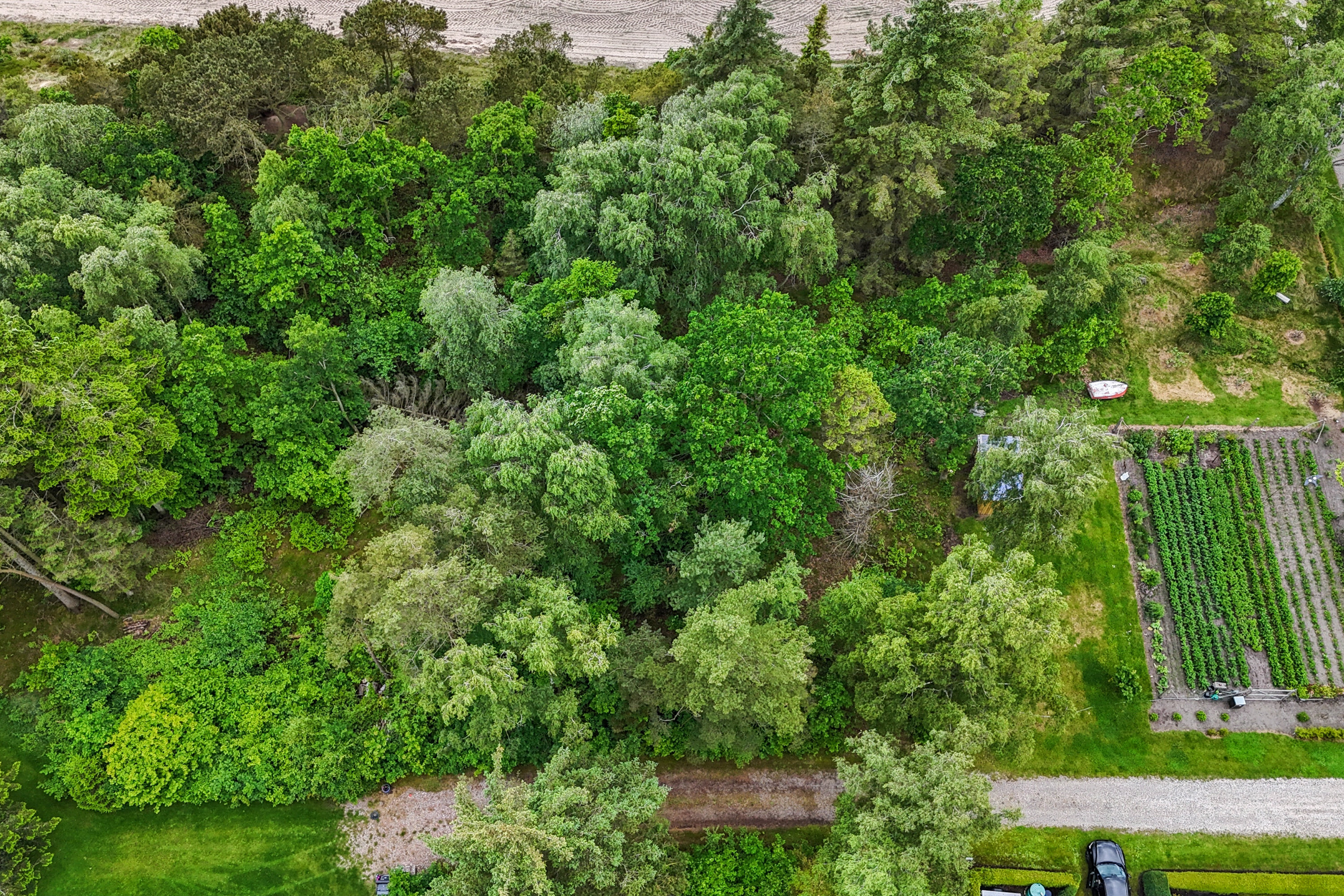 Fremhævet  billede i fuldskærmstilstand. Billede af Strandlund 2, Helberskov, 9560 Hadsund