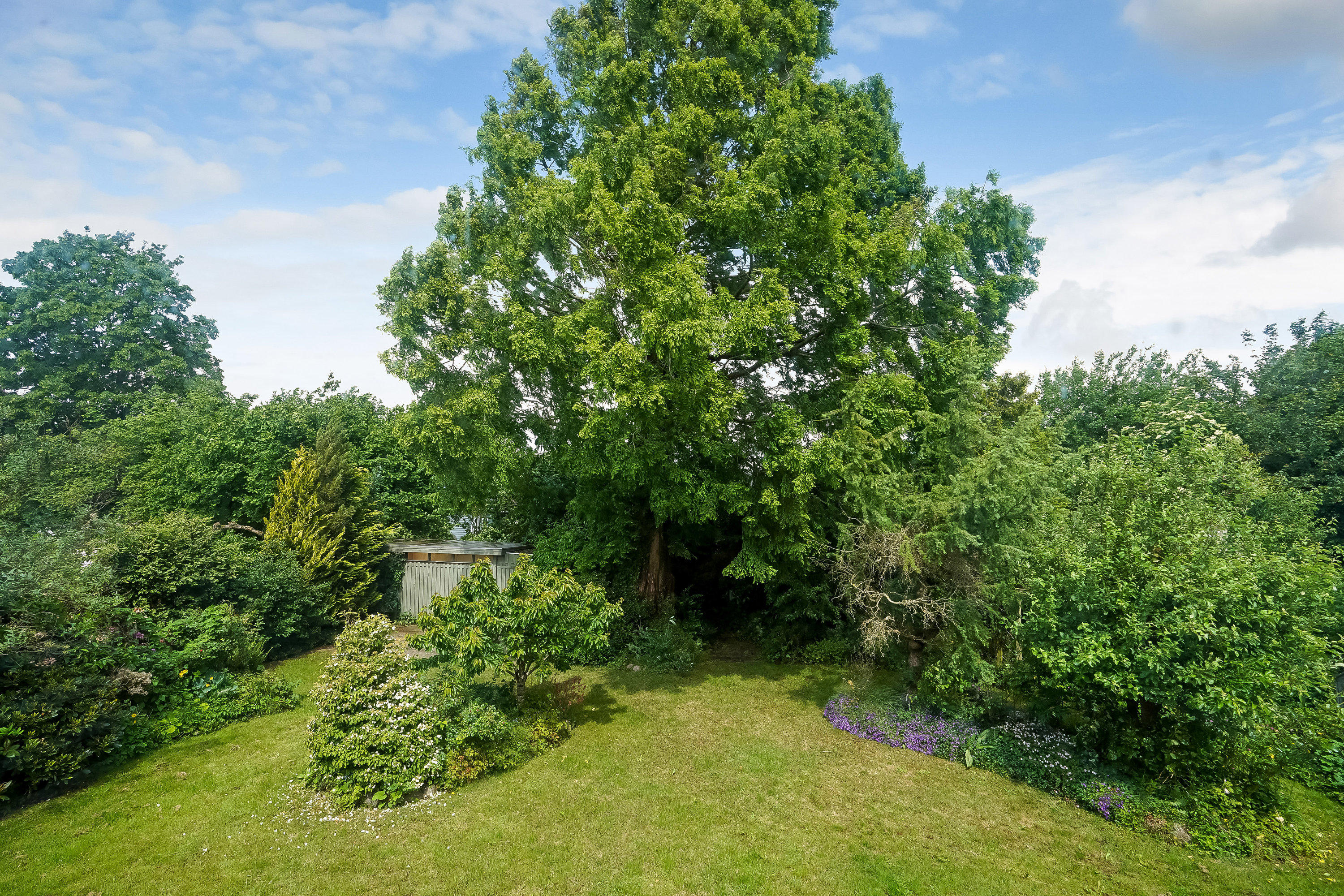 Fremhævet have billede i fuldskærmstilstand. Billede af Grønnegade 19, 5580 Nørre Aaby