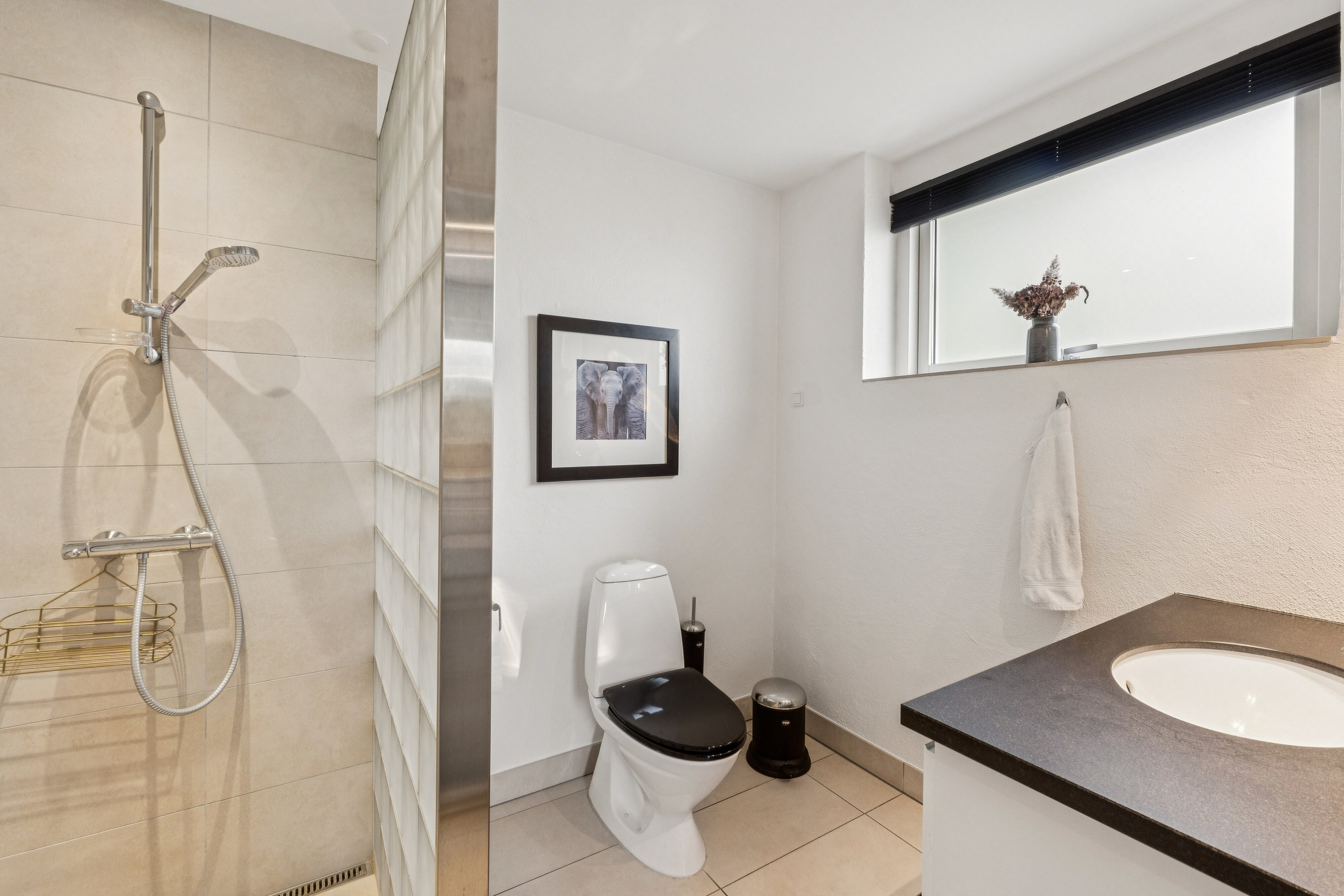 Fremhævet toilet billede i fuldskærmstilstand. Billede af Teglværksvej 60, Mygdal, 9800 Hjørring