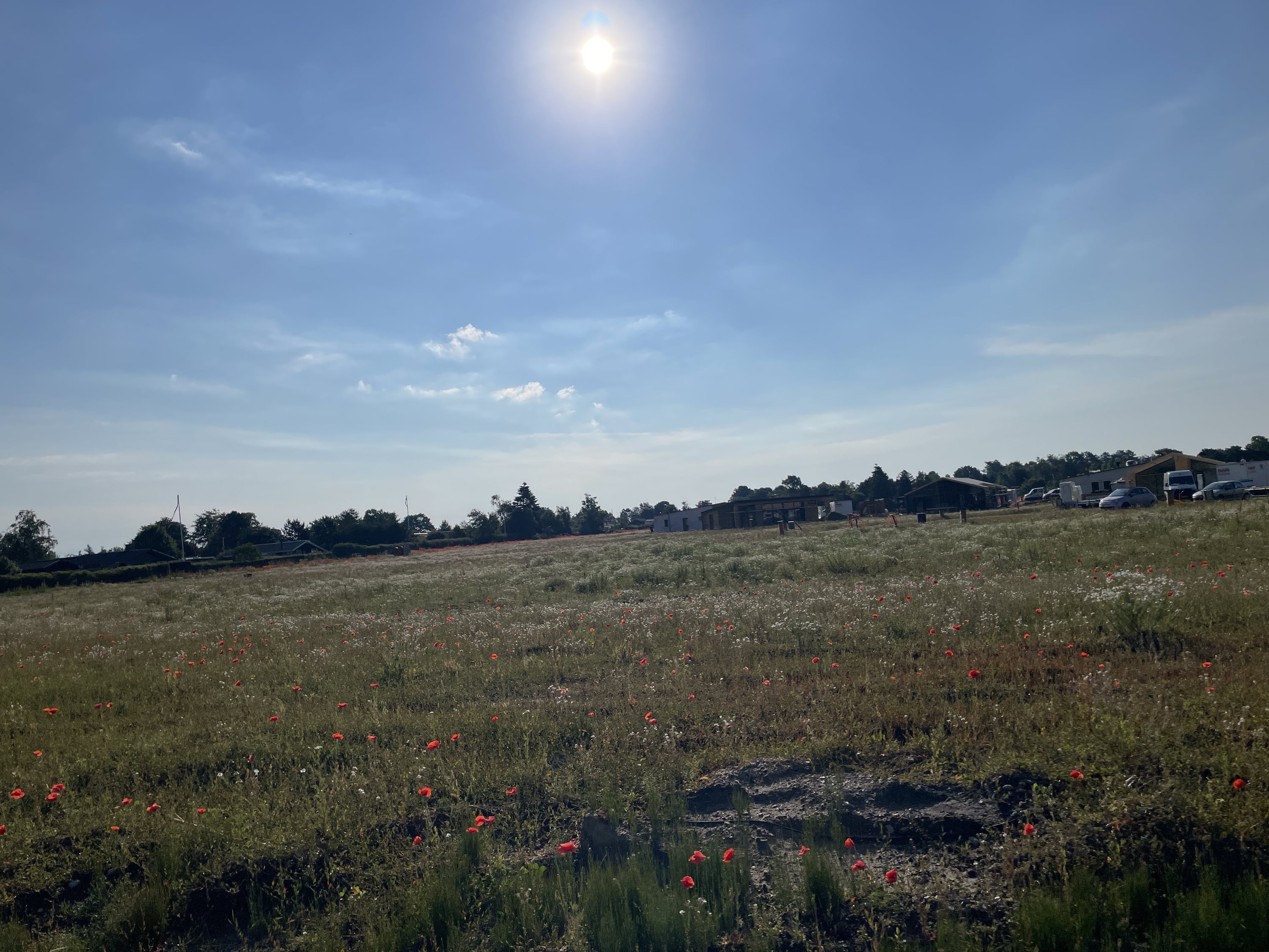 Fremhævet  billede i fuldskærmstilstand. Billede af Saksild Strandfælled 83, Saksild Strand, 8300 Odder