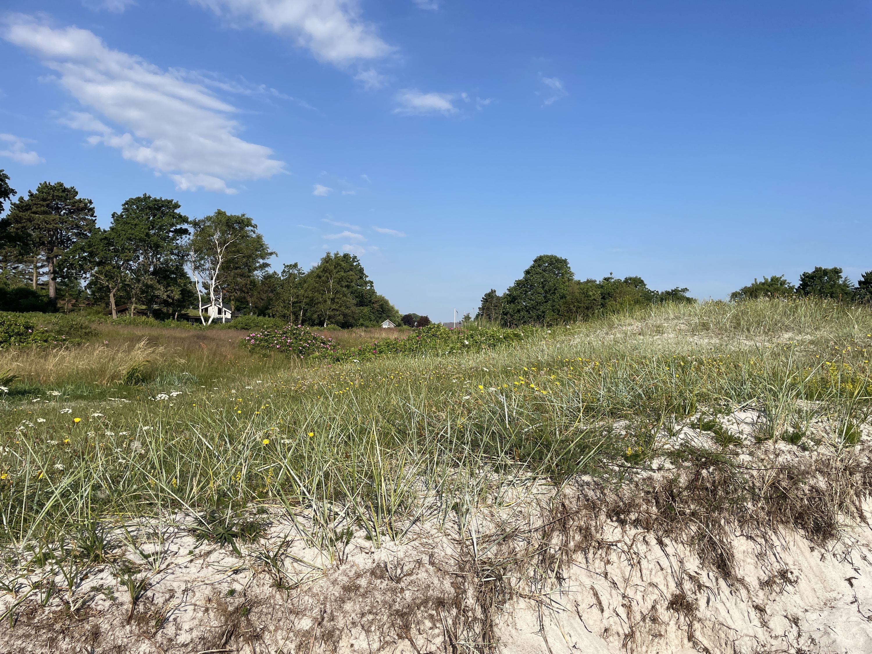 Fremhævet  billede i fuldskærmstilstand. Billede af Saksild Strandfælled 83, Saksild Strand, 8300 Odder