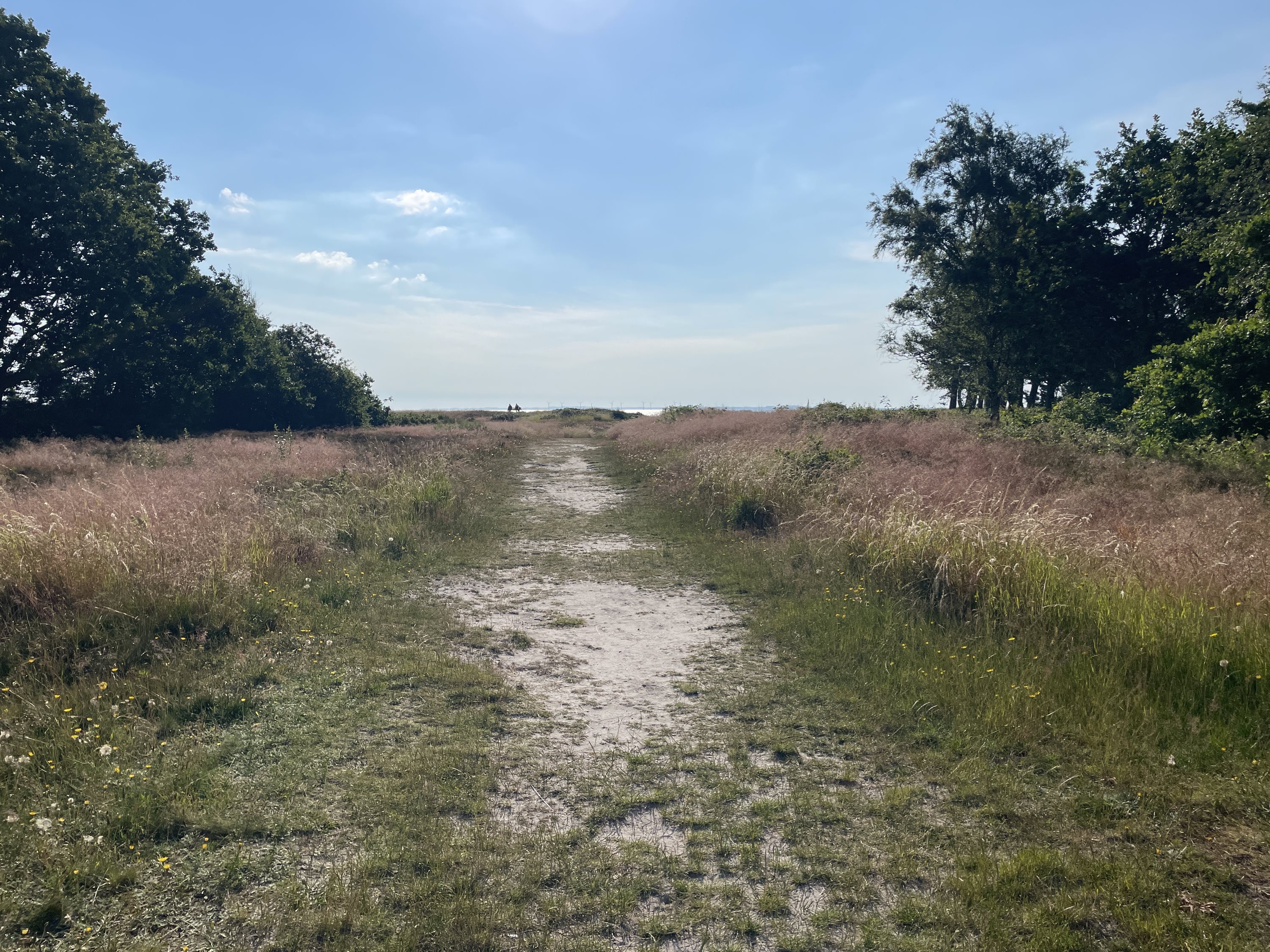 Fremhævet  billede i fuldskærmstilstand. Billede af Saksild Strandfælled 83, Saksild Strand, 8300 Odder