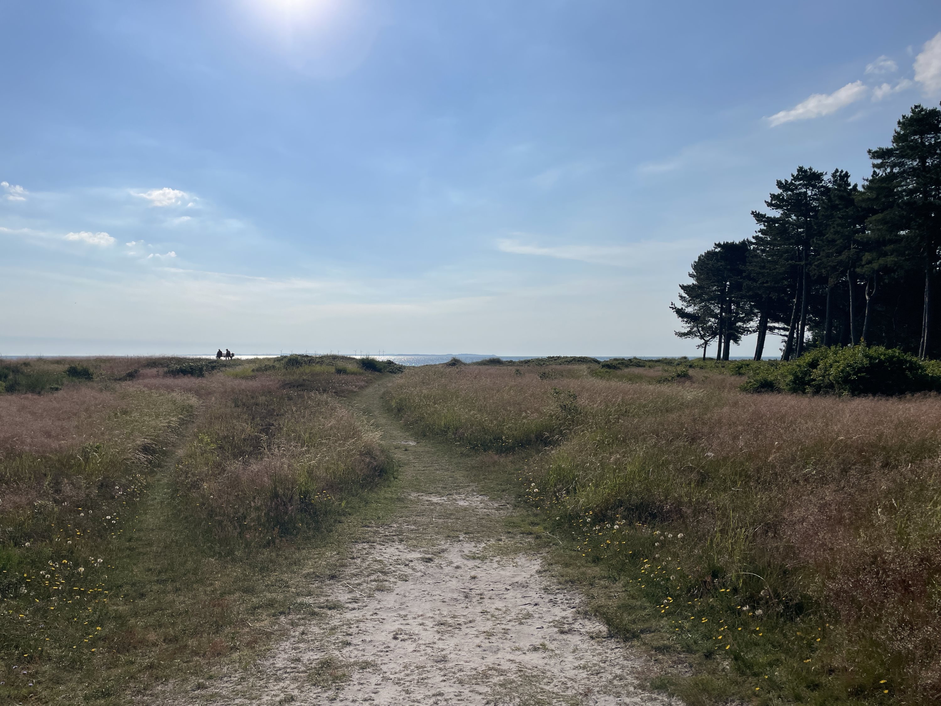 Fremhævet  billede i fuldskærmstilstand. Billede af Saksild Strandfælled 83, Saksild Strand, 8300 Odder