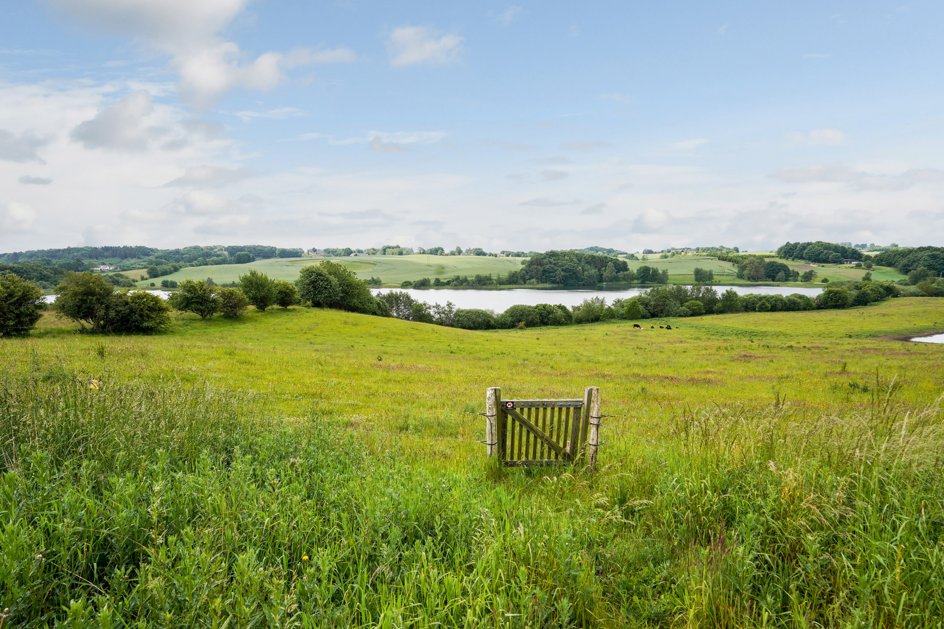 Fremhævet have billede i fuldskærmstilstand. Billede af Ring Søpark 31, 8740 Brædstrup