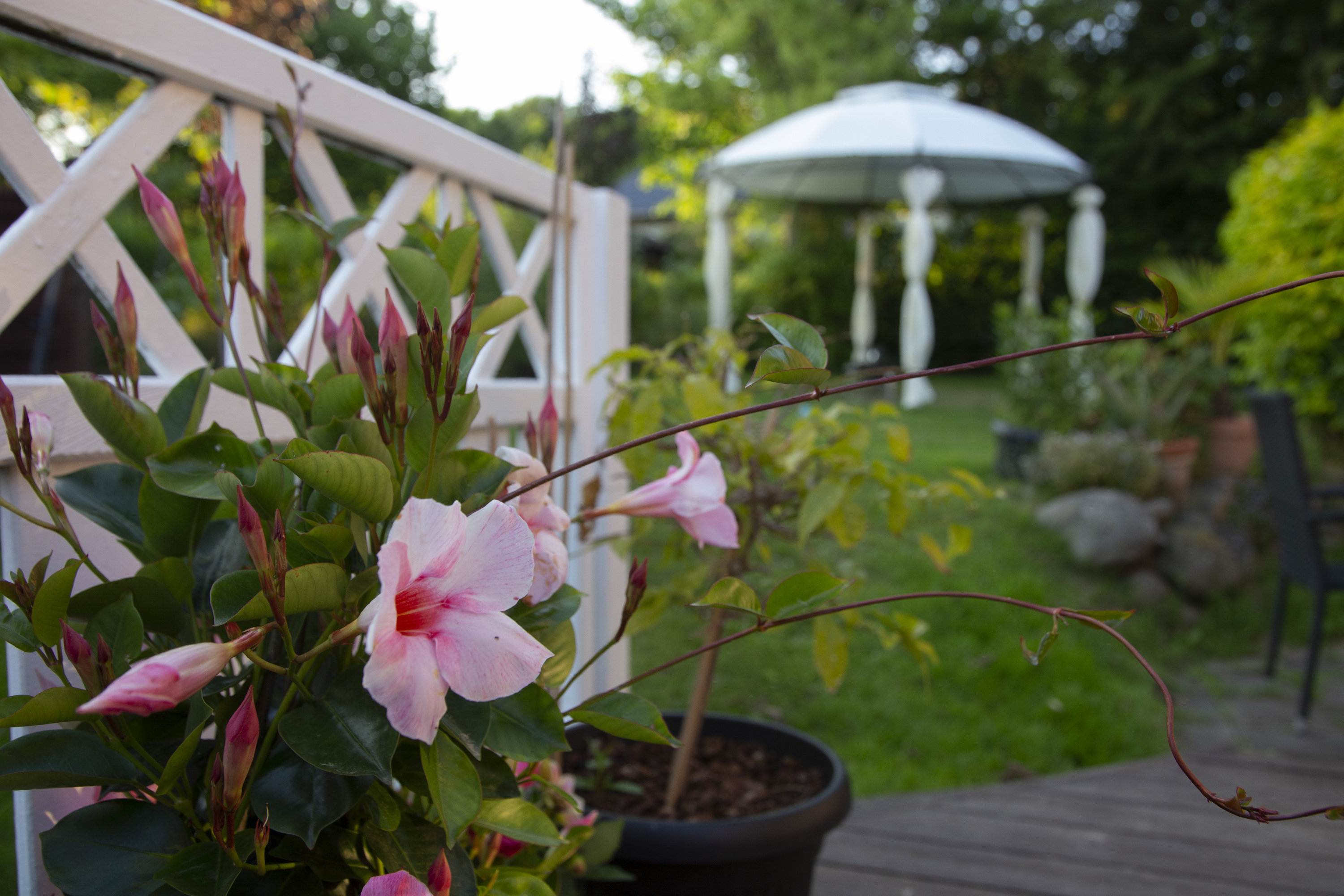 Fremhævet terrasse billede i fuldskærmstilstand. Billede af Bjergsted Byvej 11, Bjergsted, 4450 Jyderup