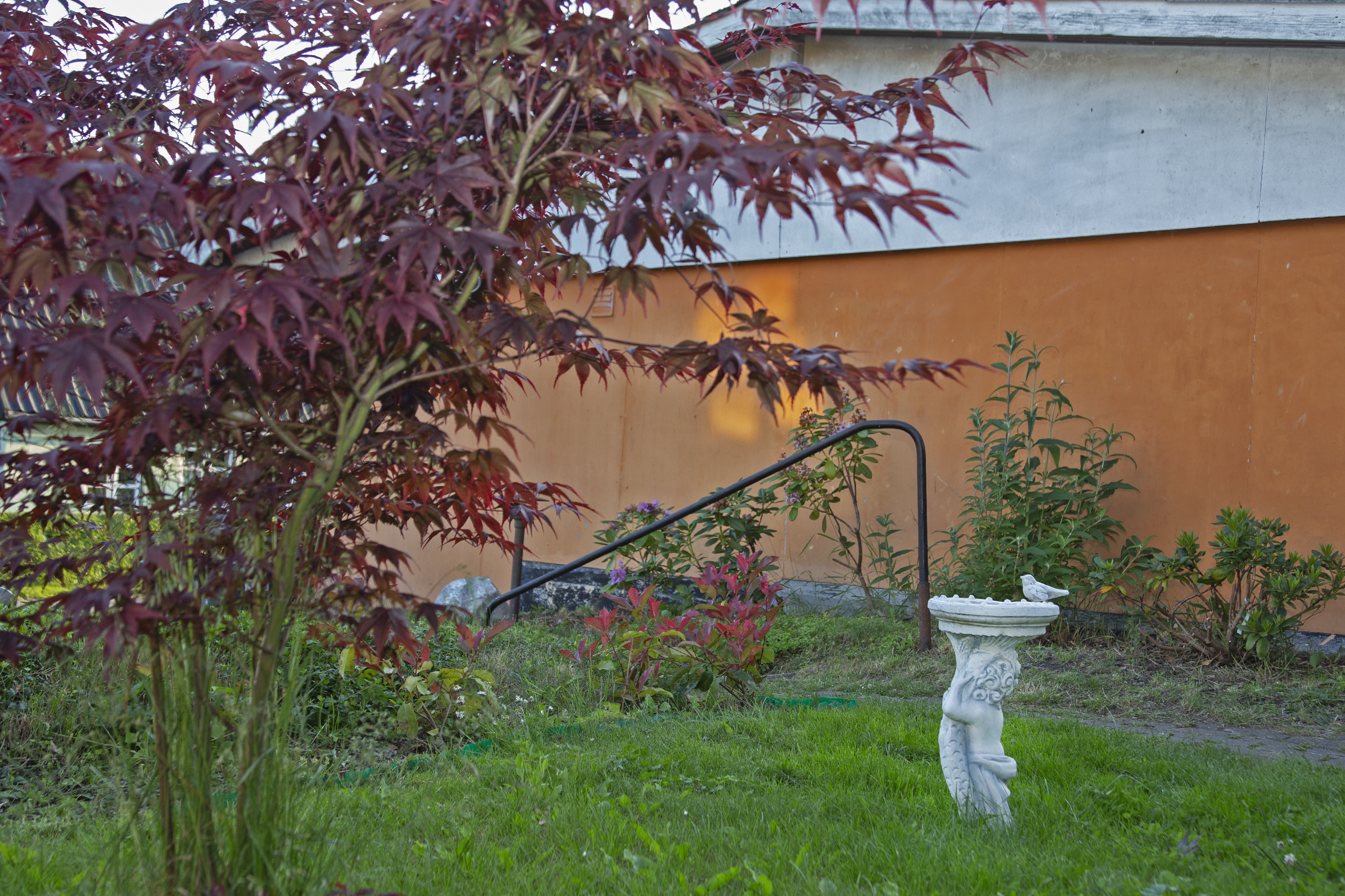 Fremhævet forhave billede i fuldskærmstilstand. Billede af Bjergsted Byvej 11, Bjergsted, 4450 Jyderup