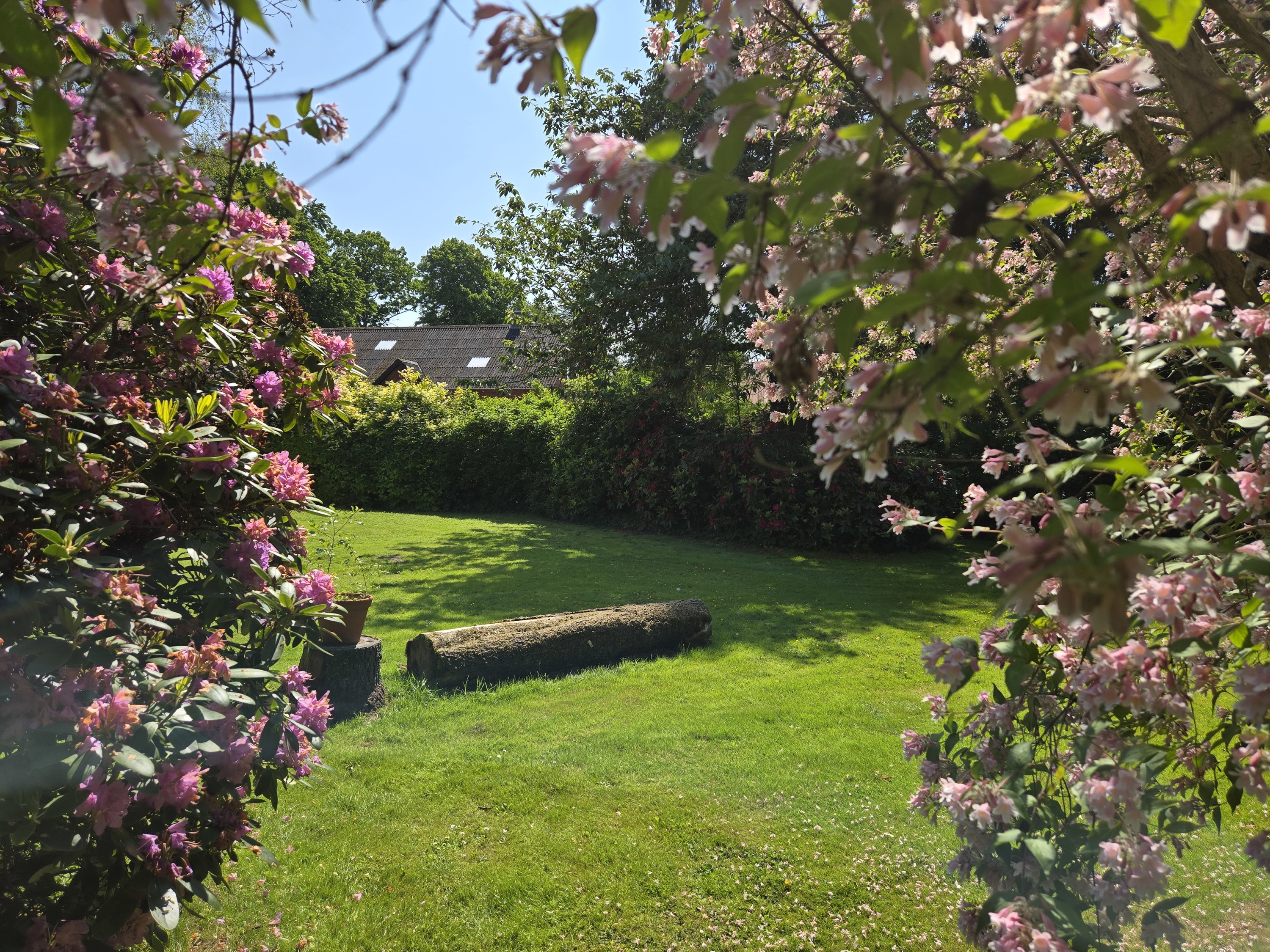 Fremhævet have kig billede i fuldskærmstilstand. Billede af Tingskoven 2, 8310 Tranbjerg J