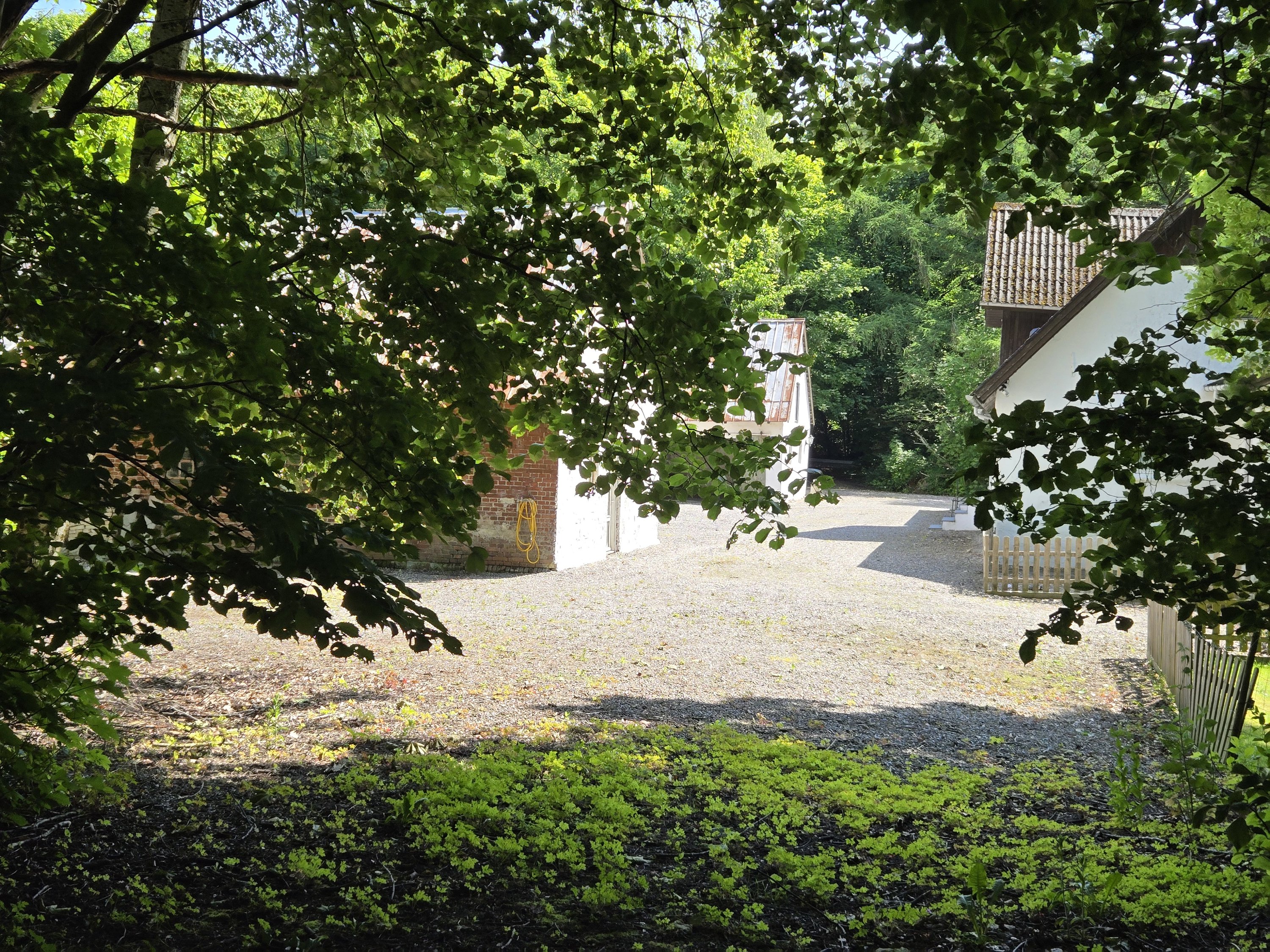 Fremhævet kig fra skoven - b billede i fuldskærmstilstand. Billede af Tingskoven 2, 8310 Tranbjerg J