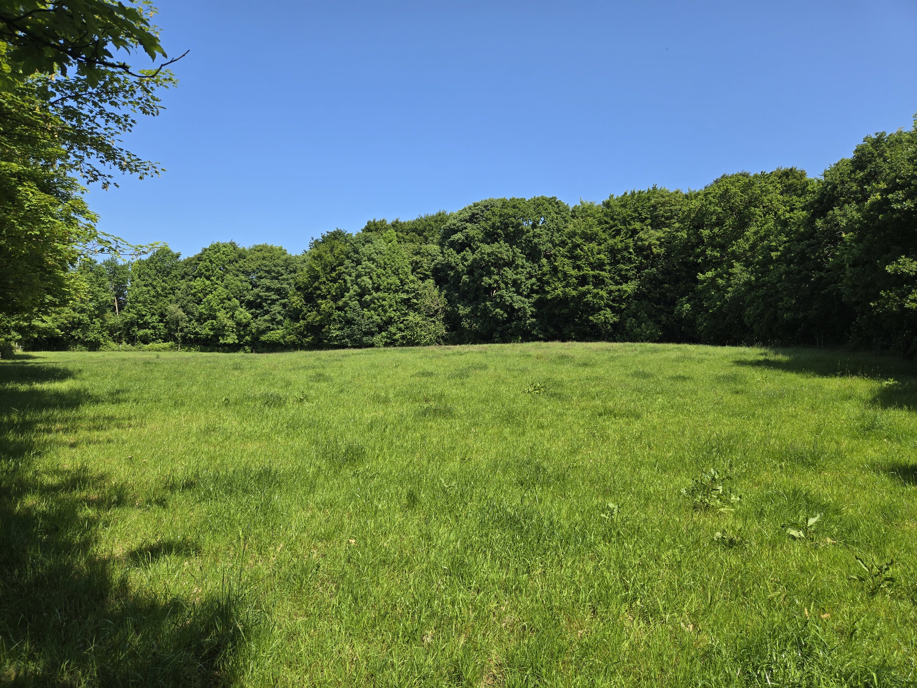 Fremhævet eng billede i fuldskærmstilstand. Billede af Tingskoven 2, 8310 Tranbjerg J