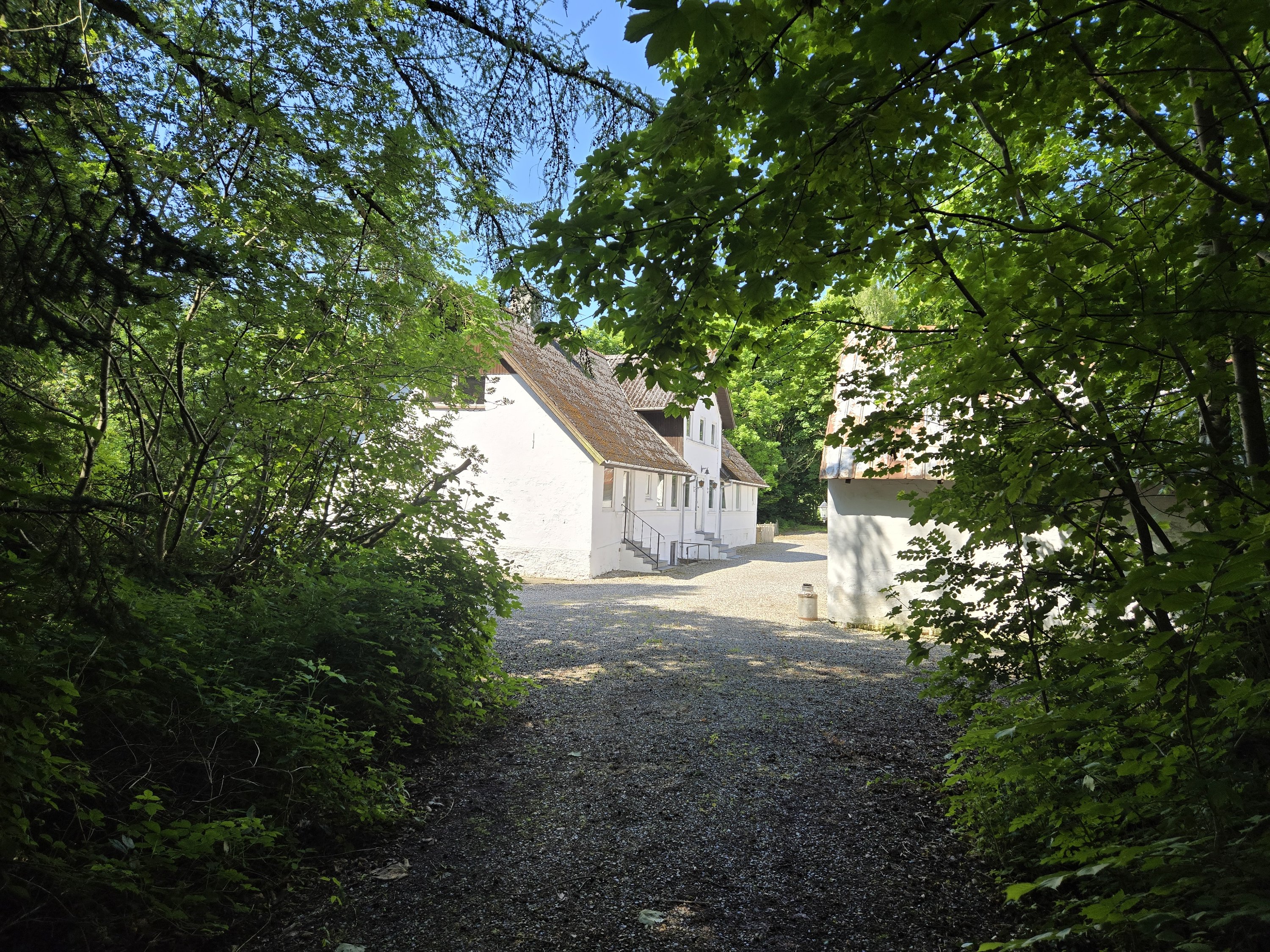 Fremhævet kig fra skoven - a billede i fuldskærmstilstand. Billede af Tingskoven 2, 8310 Tranbjerg J