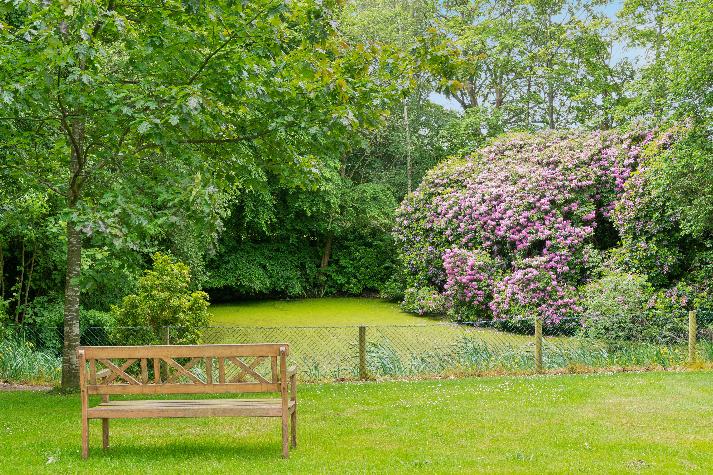 Miniaturebillede 2: have. Billede af Mørdrupvej 69, 1. mf., Mørdrup, 3060 Espergærde