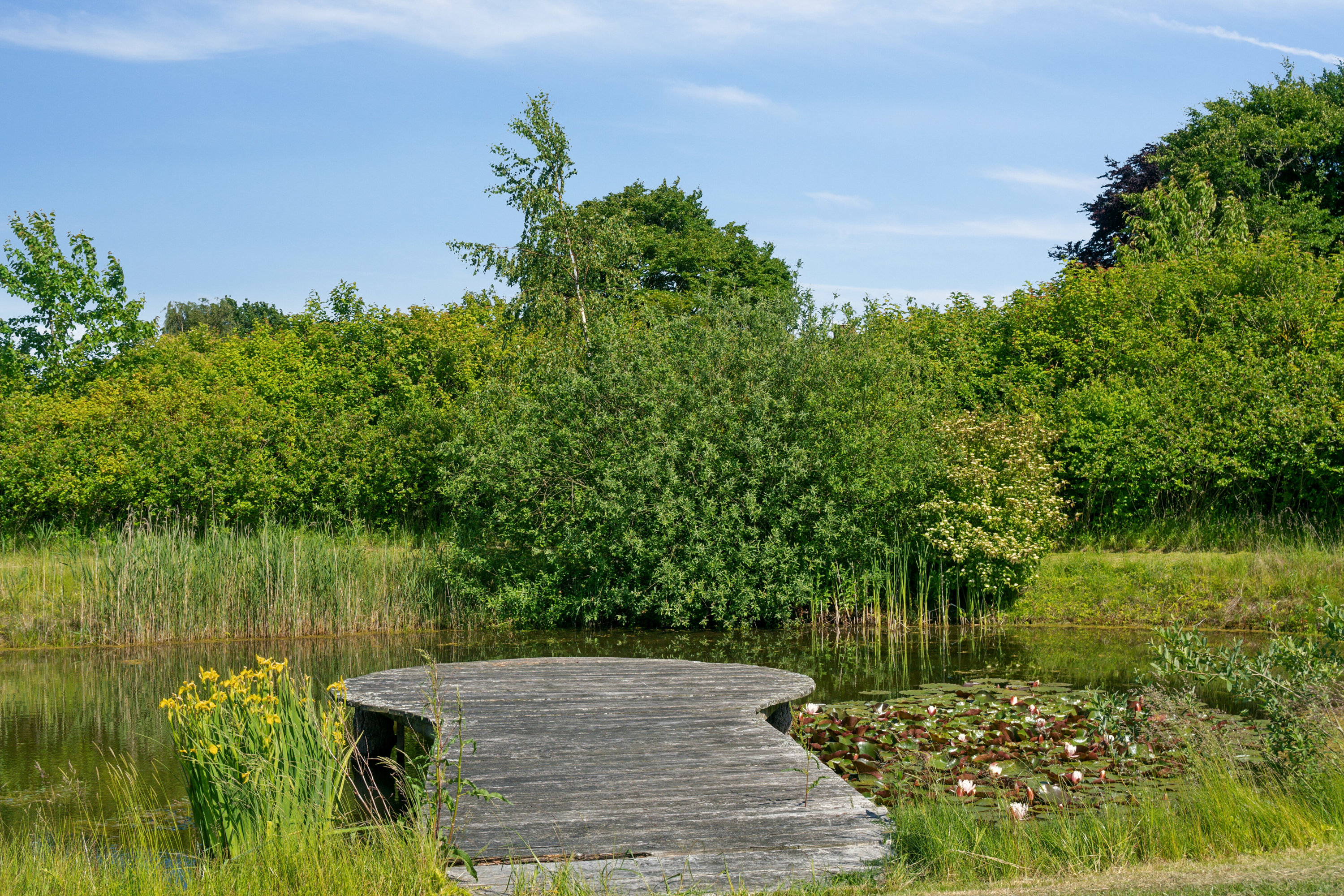 Fremhævet have billede i fuldskærmstilstand. Billede af Vollerupvej 14, Vollerup, 4200 Slagelse