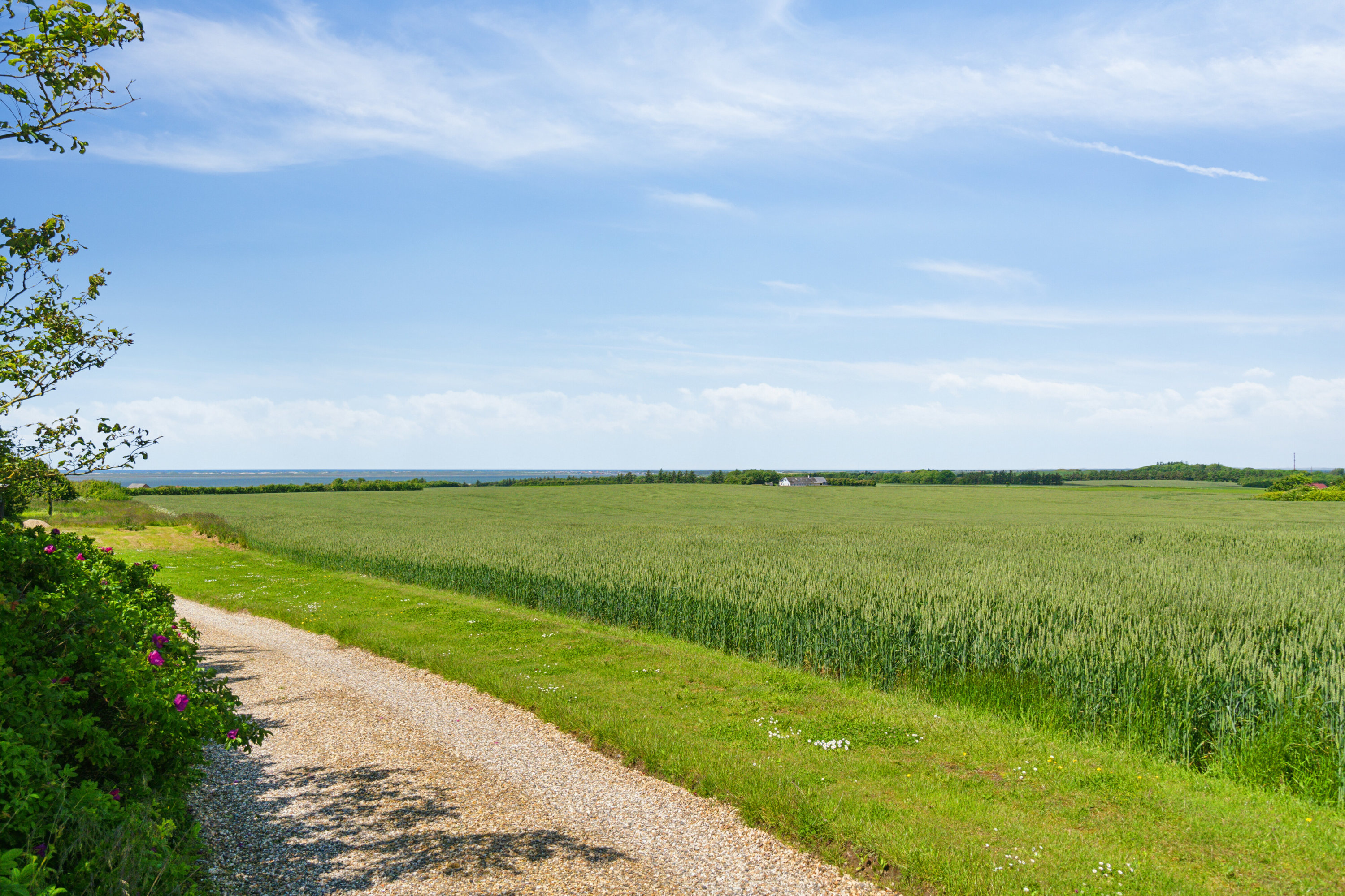 Fremhævet omgivelser billede i fuldskærmstilstand. Billede af Ydbyvej 6, 7770 Vestervig