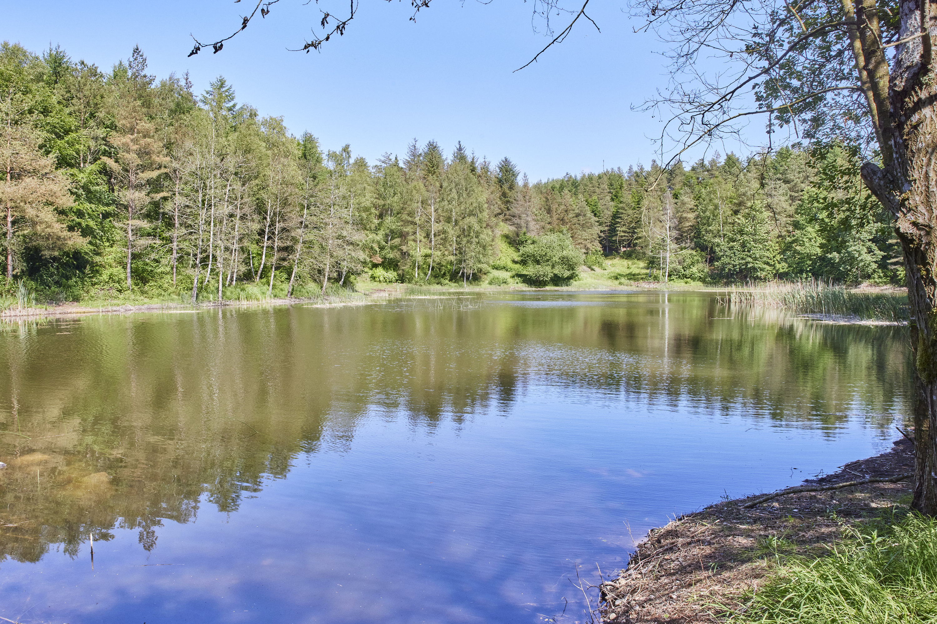Fremhævet ejendommen billede i fuldskærmstilstand. Billede af Holmekollen 8, Voervadsbro, 8660 Skanderborg