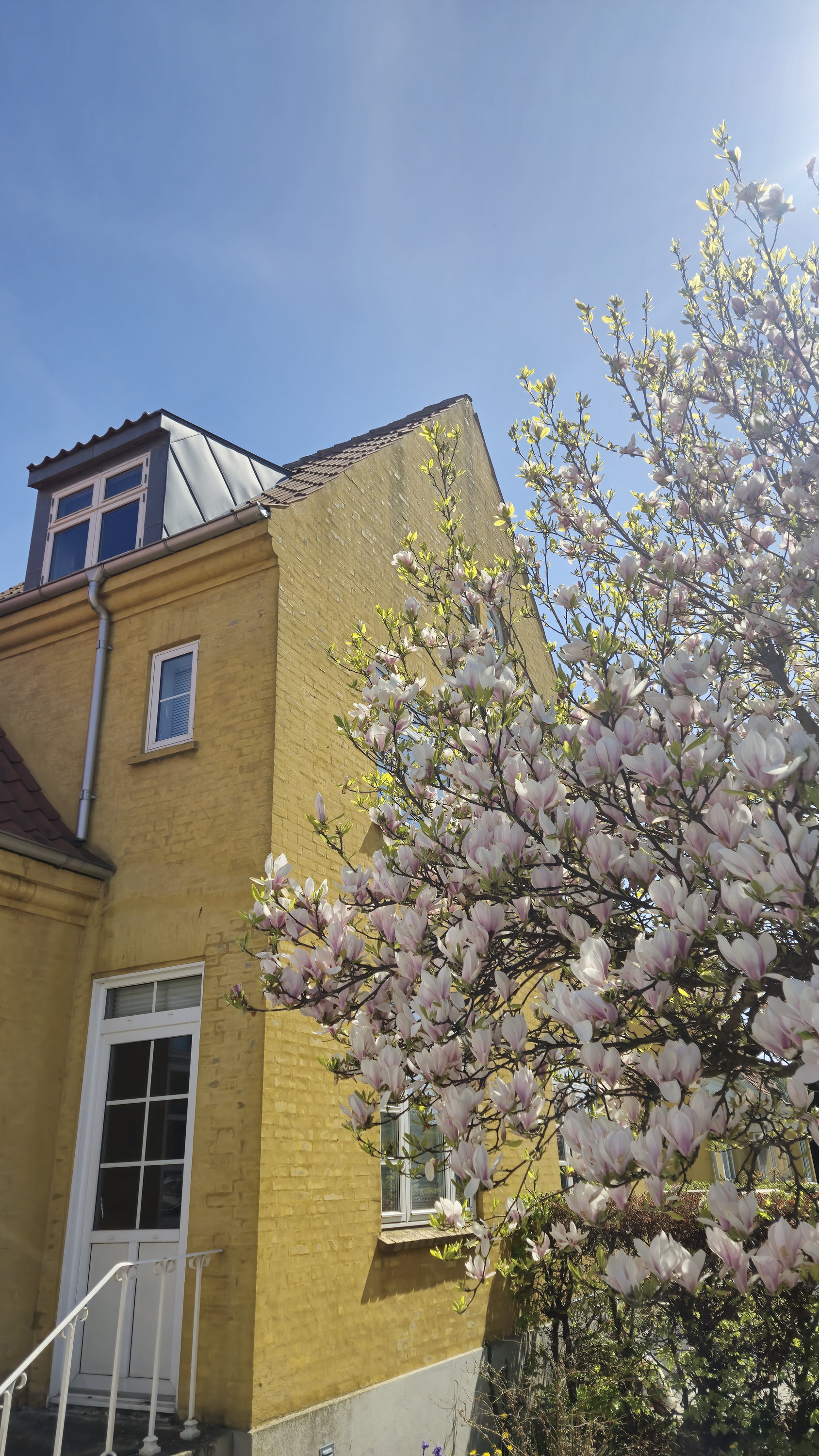 Fremhævet  billede i fuldskærmstilstand. Billede af Søndre Alle 31, 3700 Rønne