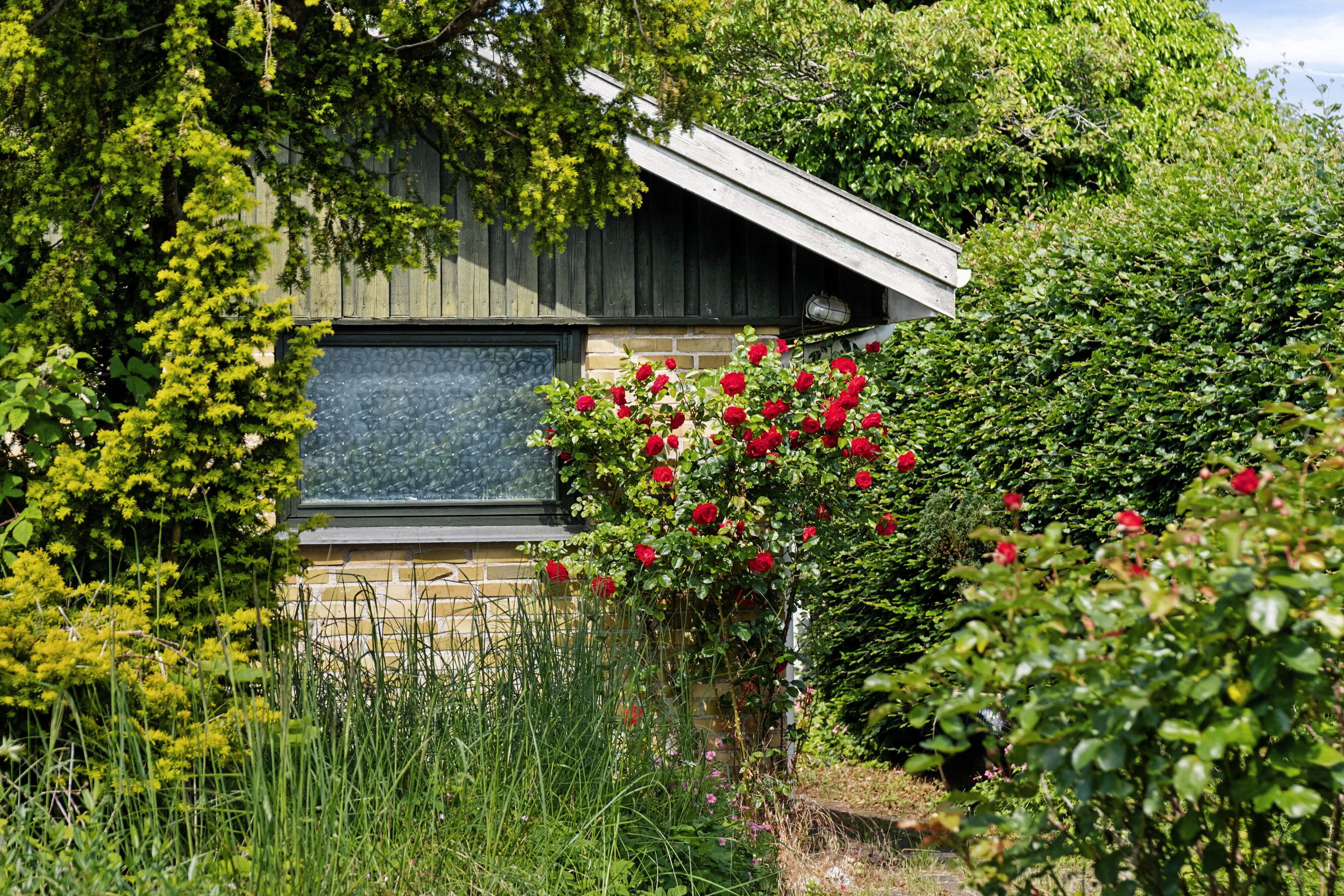 Fremhævet udendørs billede i fuldskærmstilstand. Billede af Johs Olsens Vej 11, 4500 Nykøbing Sj