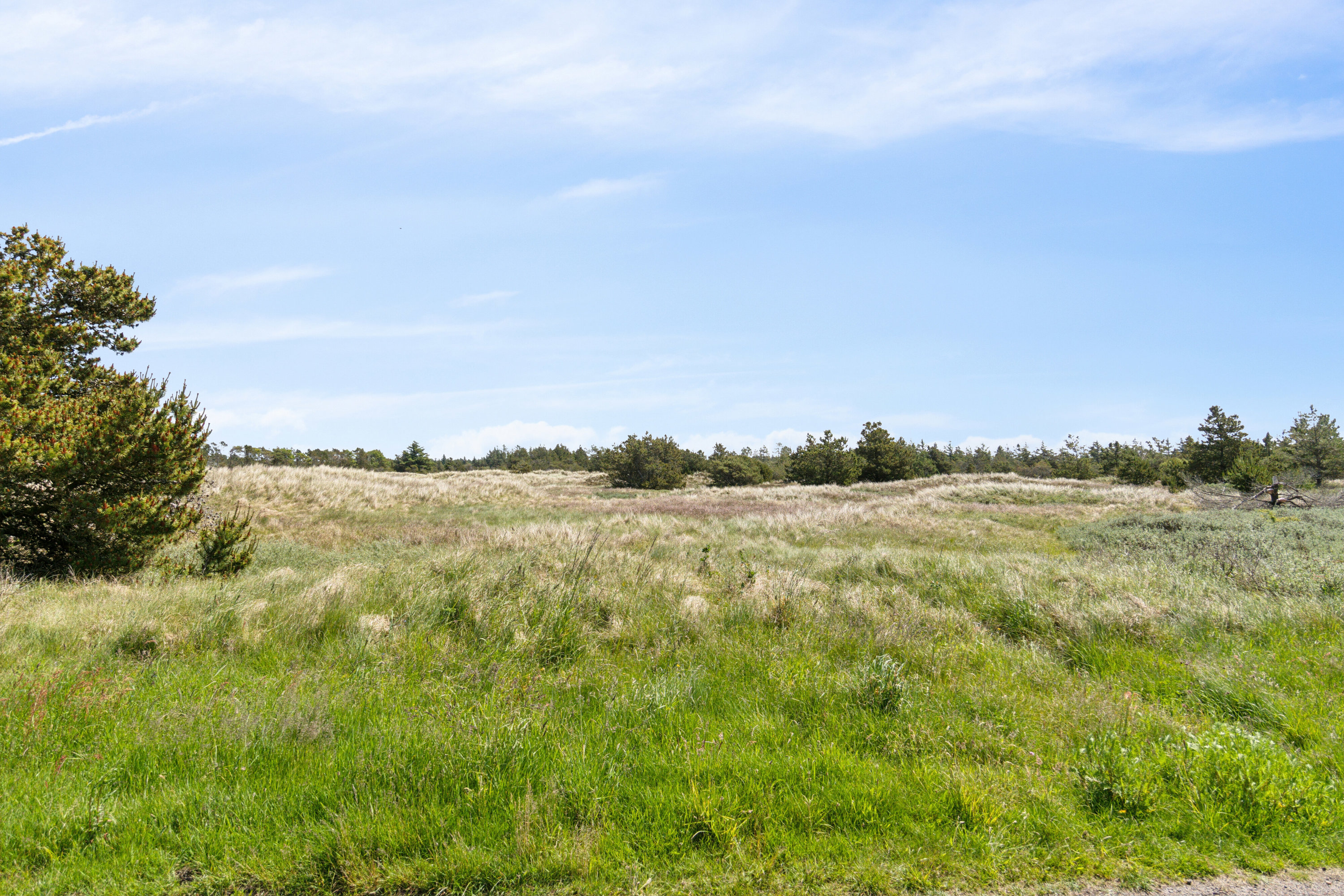 Fremhævet udsigt billede i fuldskærmstilstand. Billede af Istrupvej 38, Stenbjerg, 7752 Snedsted