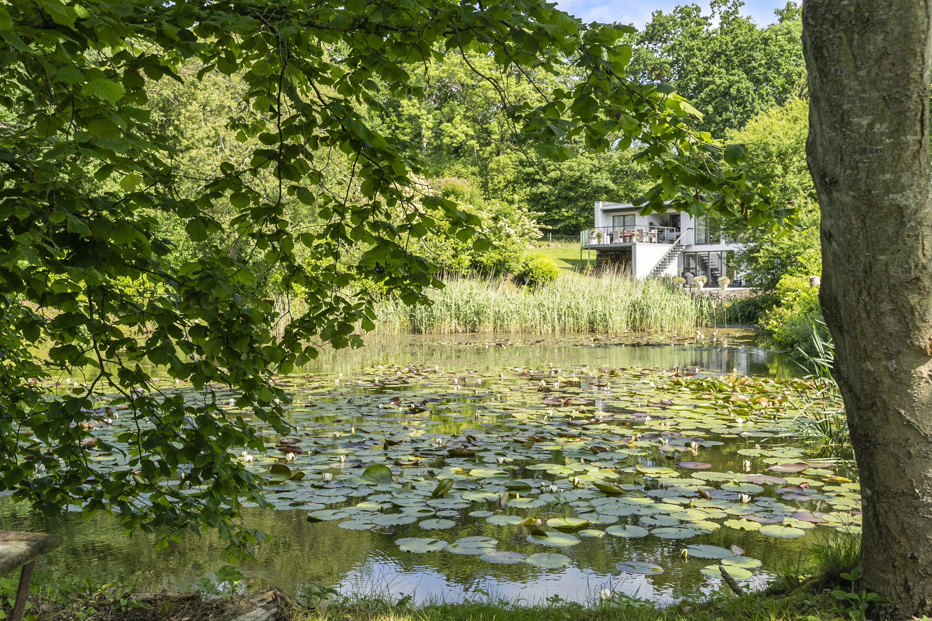 Fremhævet område billede i fuldskærmstilstand. Billede af Frydendal 15, 6200 Aabenraa