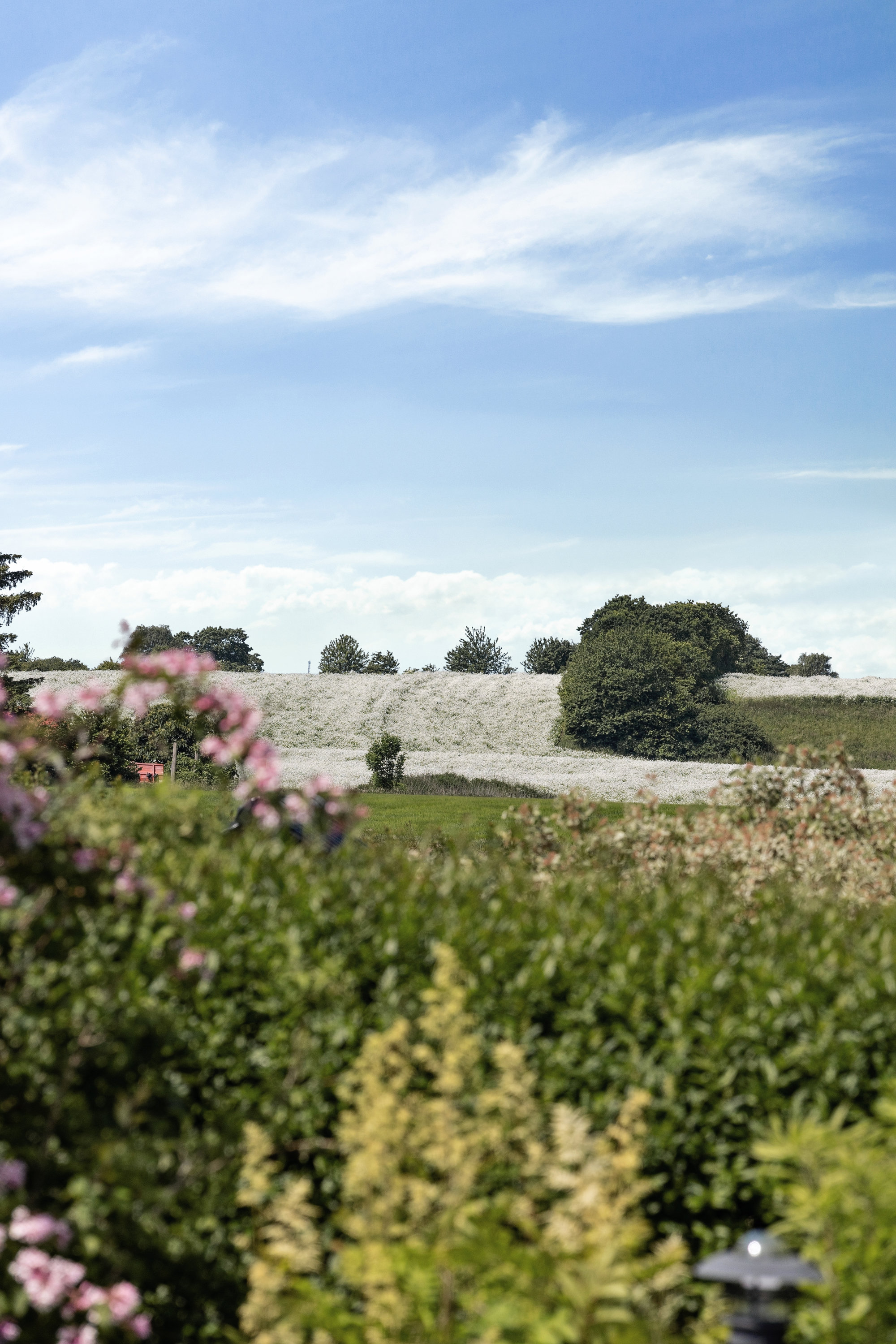 Fremhævet udsigt billede i fuldskærmstilstand. Billede af Rusgårds Bakke 44, Vigersted, 4100 Ringsted