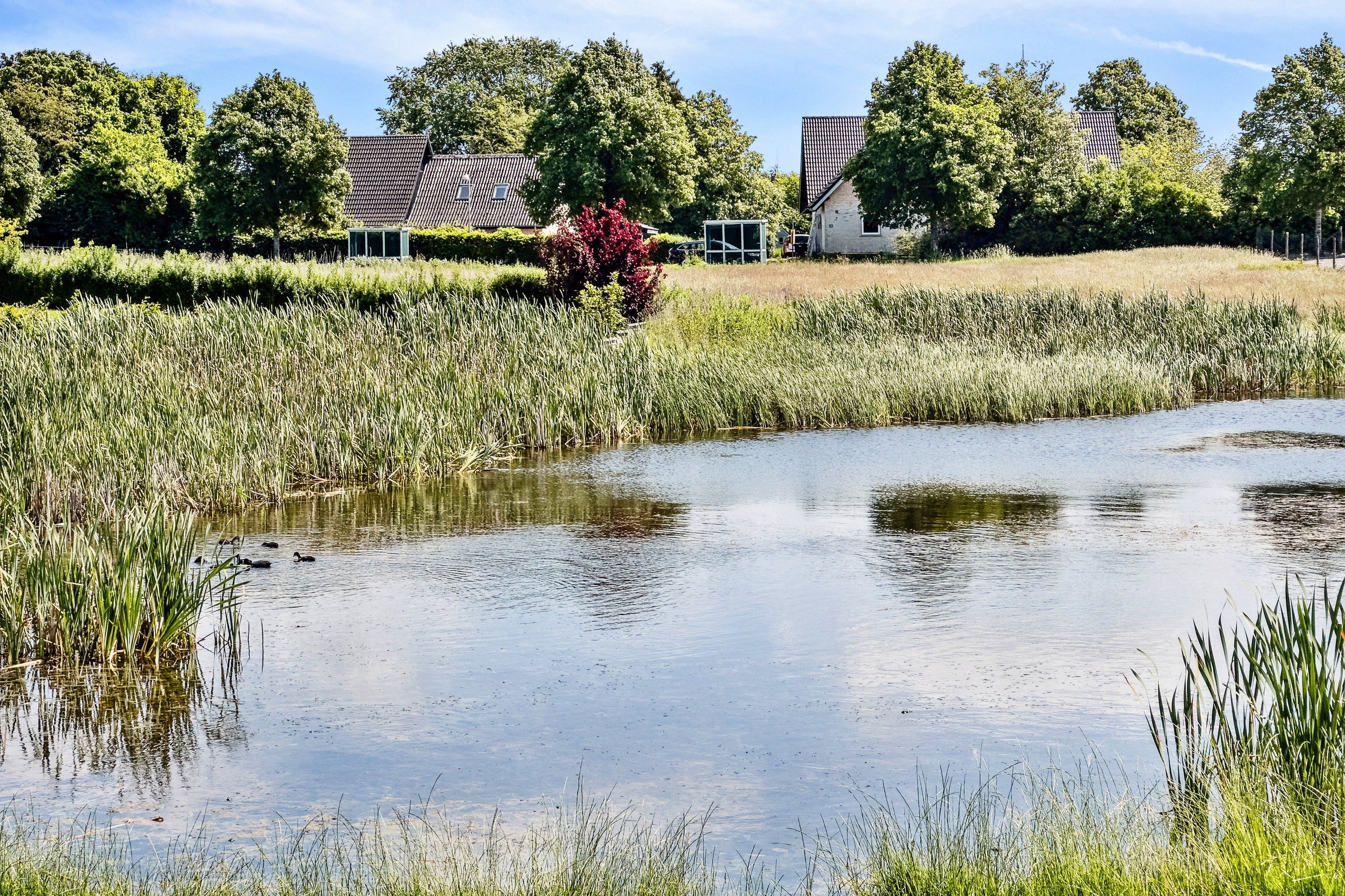 Fremhævet område billede i fuldskærmstilstand. Billede af Rusgårds Bakke 44, Vigersted, 4100 Ringsted